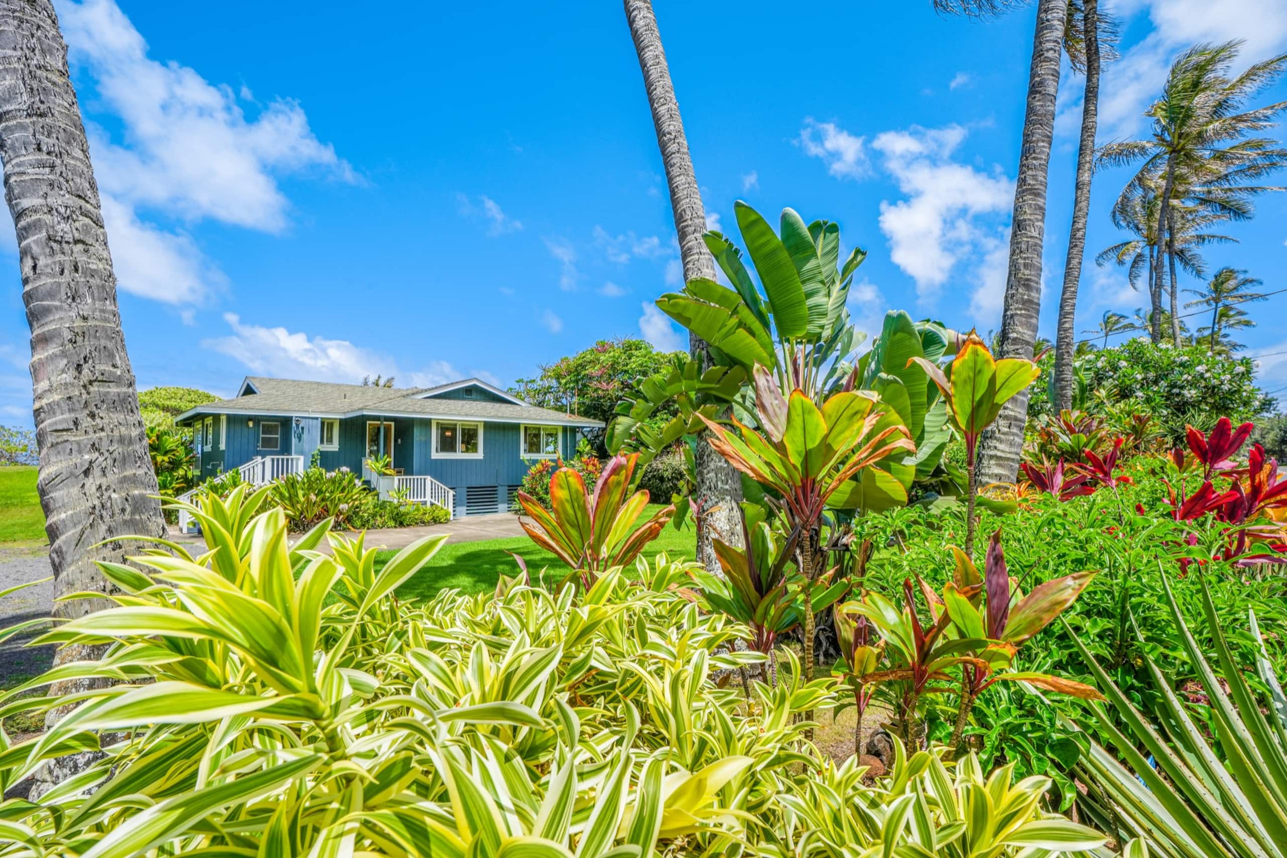 Home in Anahola · ★5.0 · 3 bedrooms · 4 beds · 2.5 baths - Photo 40
