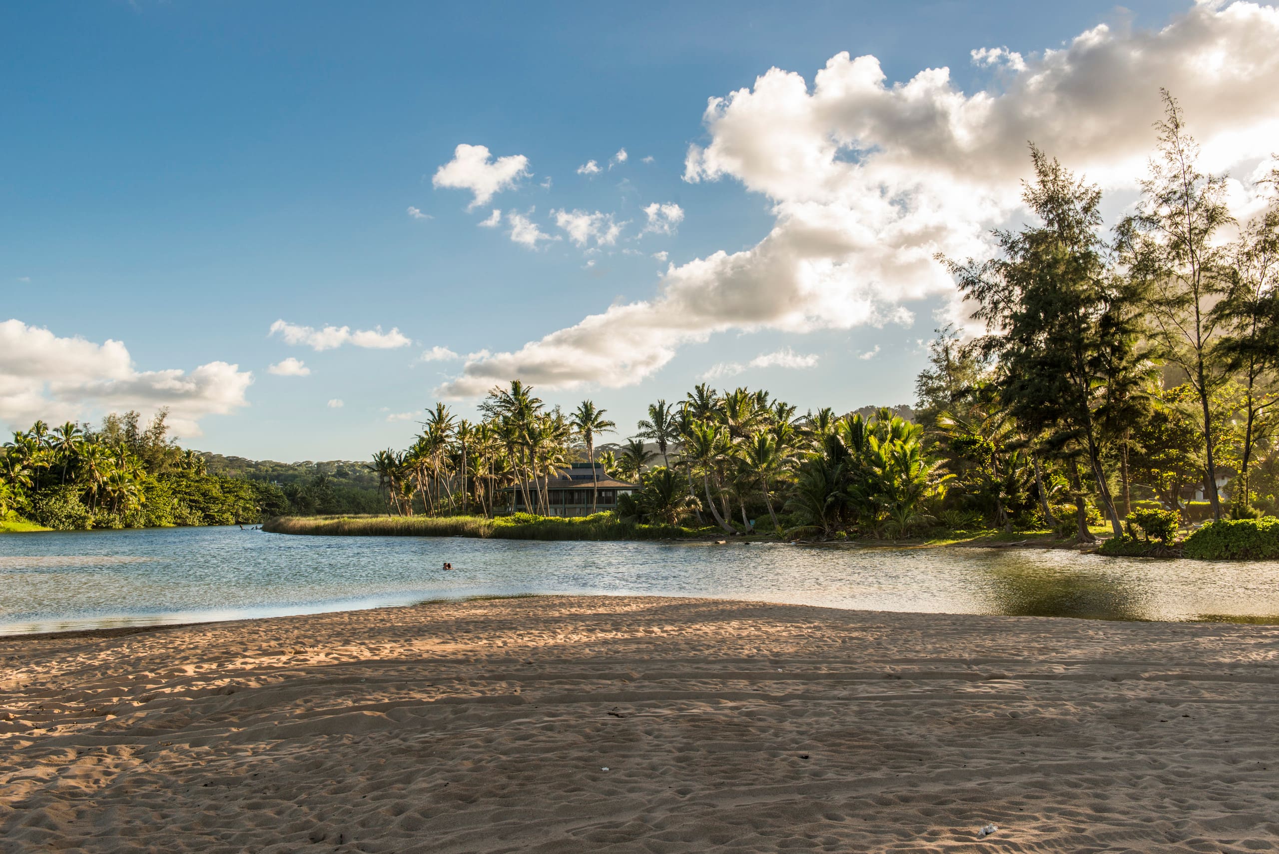Home in Anahola · ★5.0 · 3 bedrooms · 4 beds · 2.5 baths - Photo 43