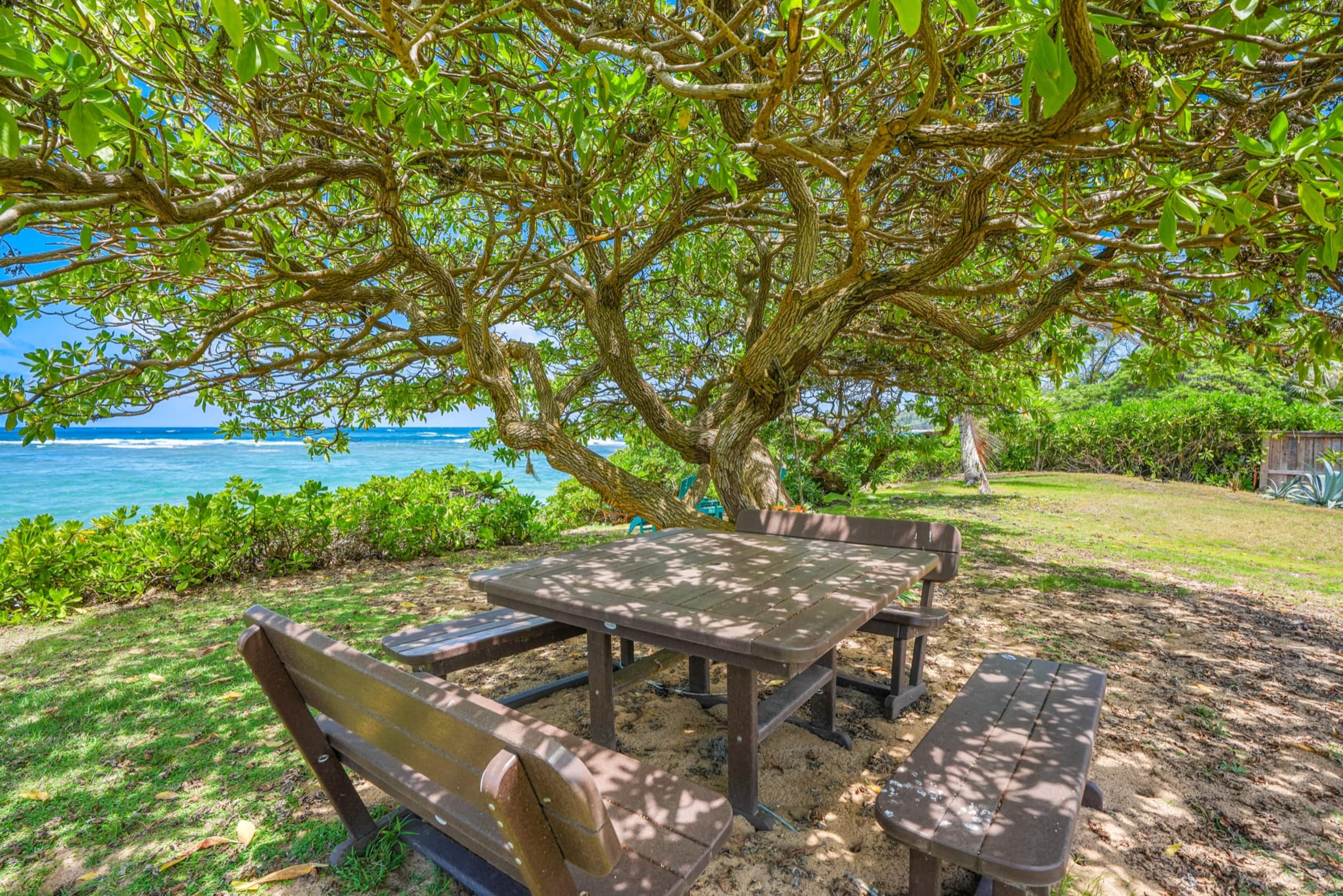 Home in Anahola · ★5.0 · 3 bedrooms · 4 beds · 2.5 baths - Photo 36