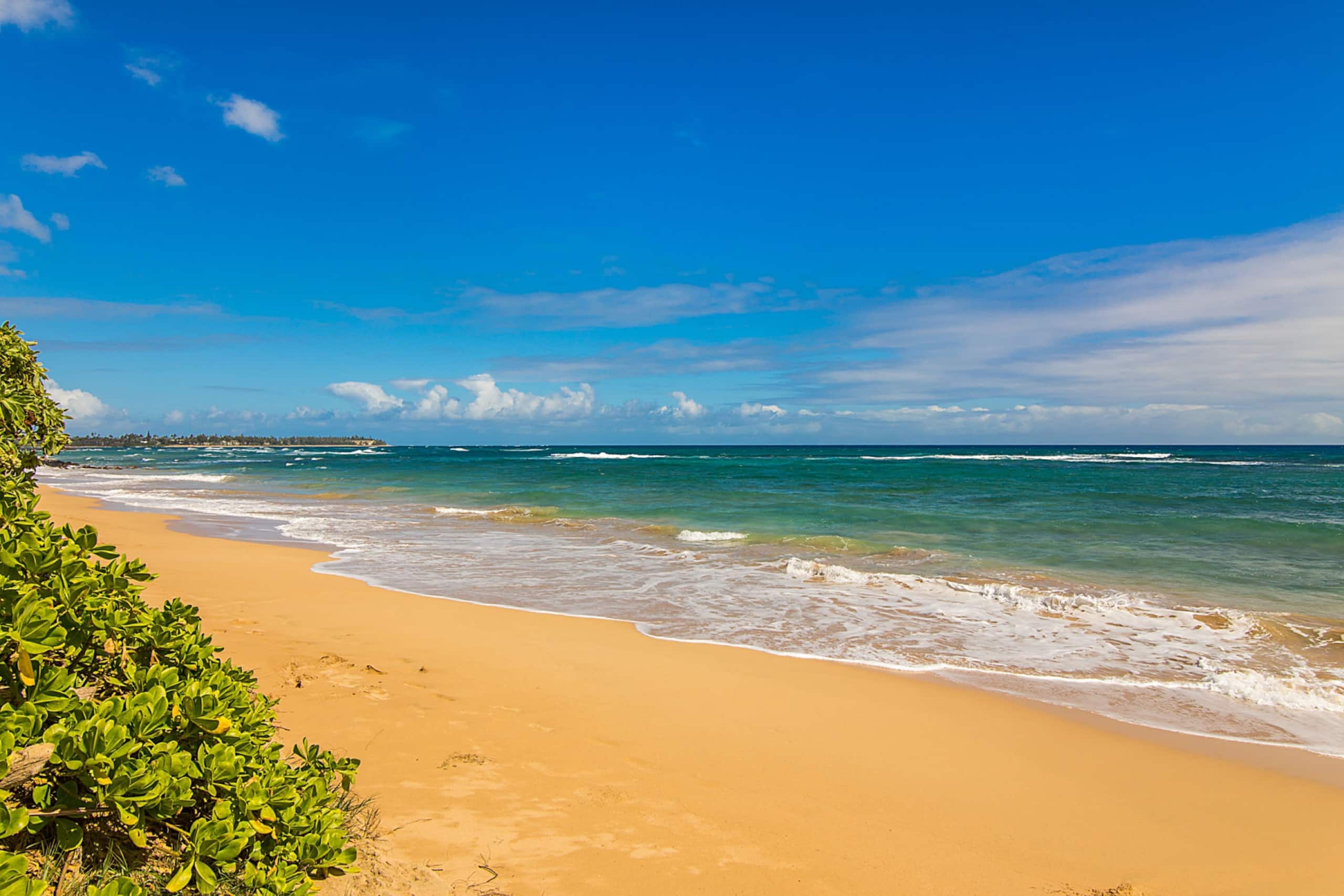 Kaha Lani Resort 114, Ocean View, Steps to Beach - Photo 42