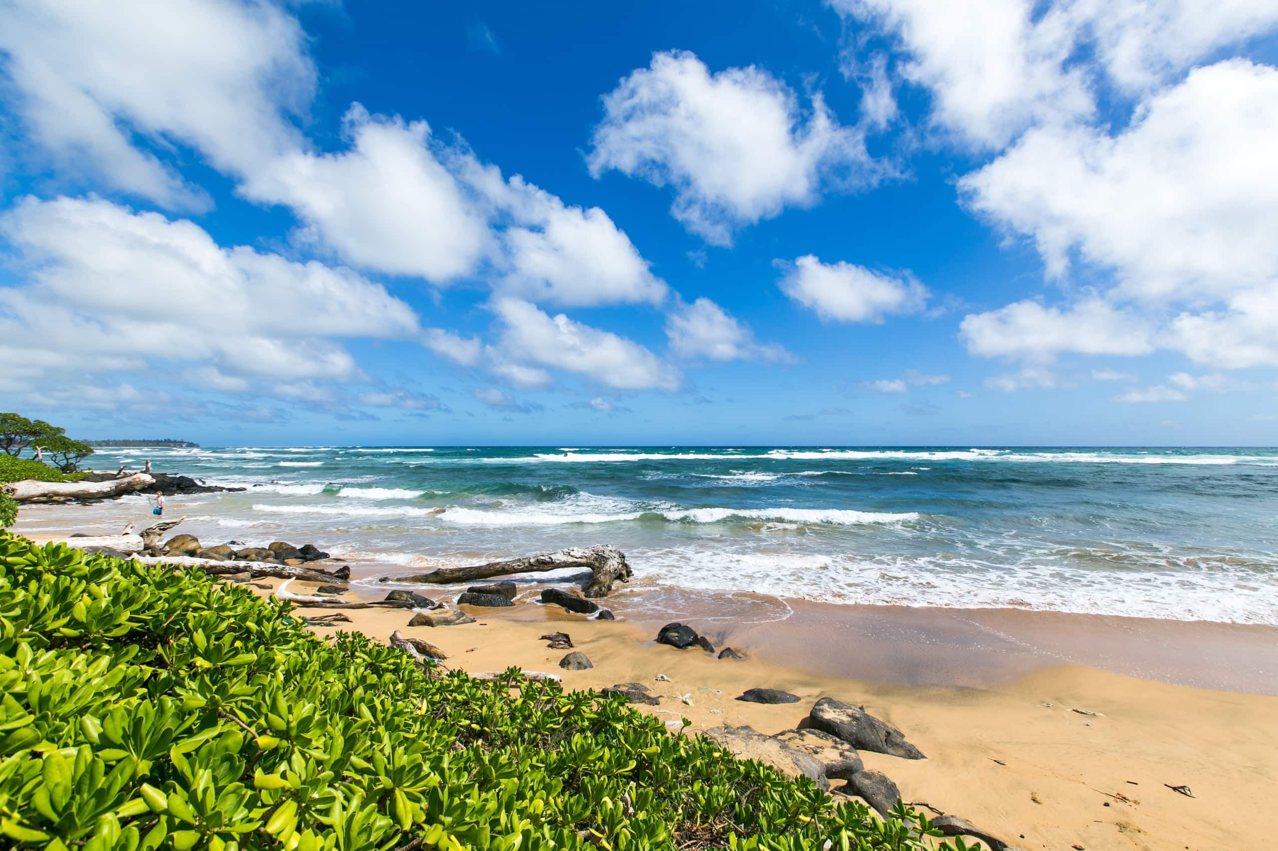 Kaha Lani Resort 114, Ocean View, Steps to Beach - Photo 41