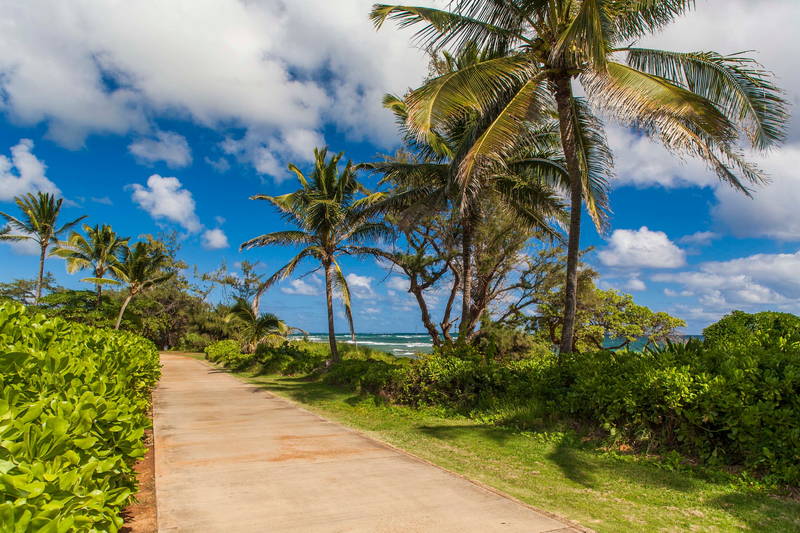 Kaha Lani 121, Oceanfront, Walk to Beach - Photo 41