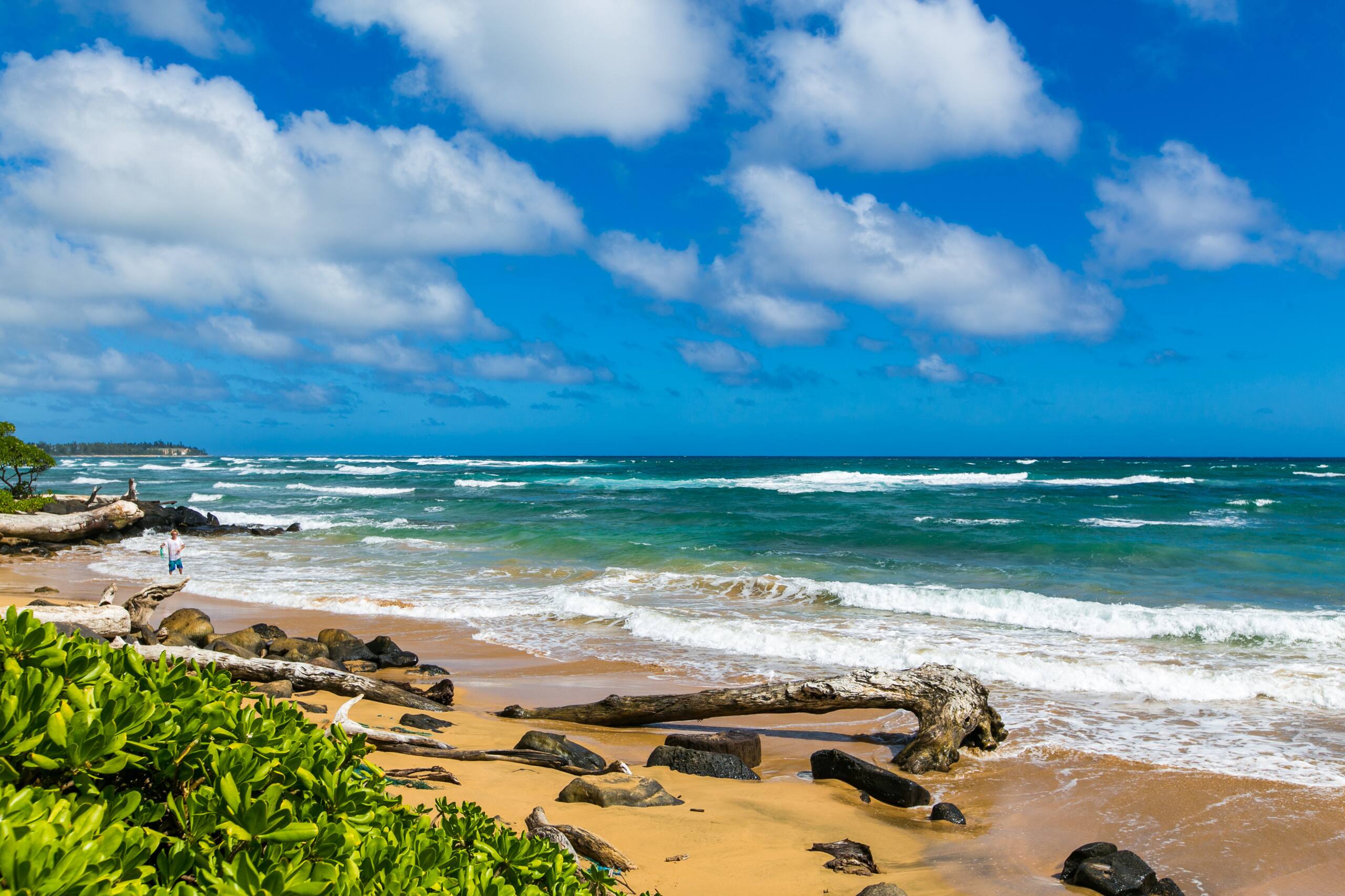 Kaha Lani 121, Oceanfront, Walk to Beach - Photo 38