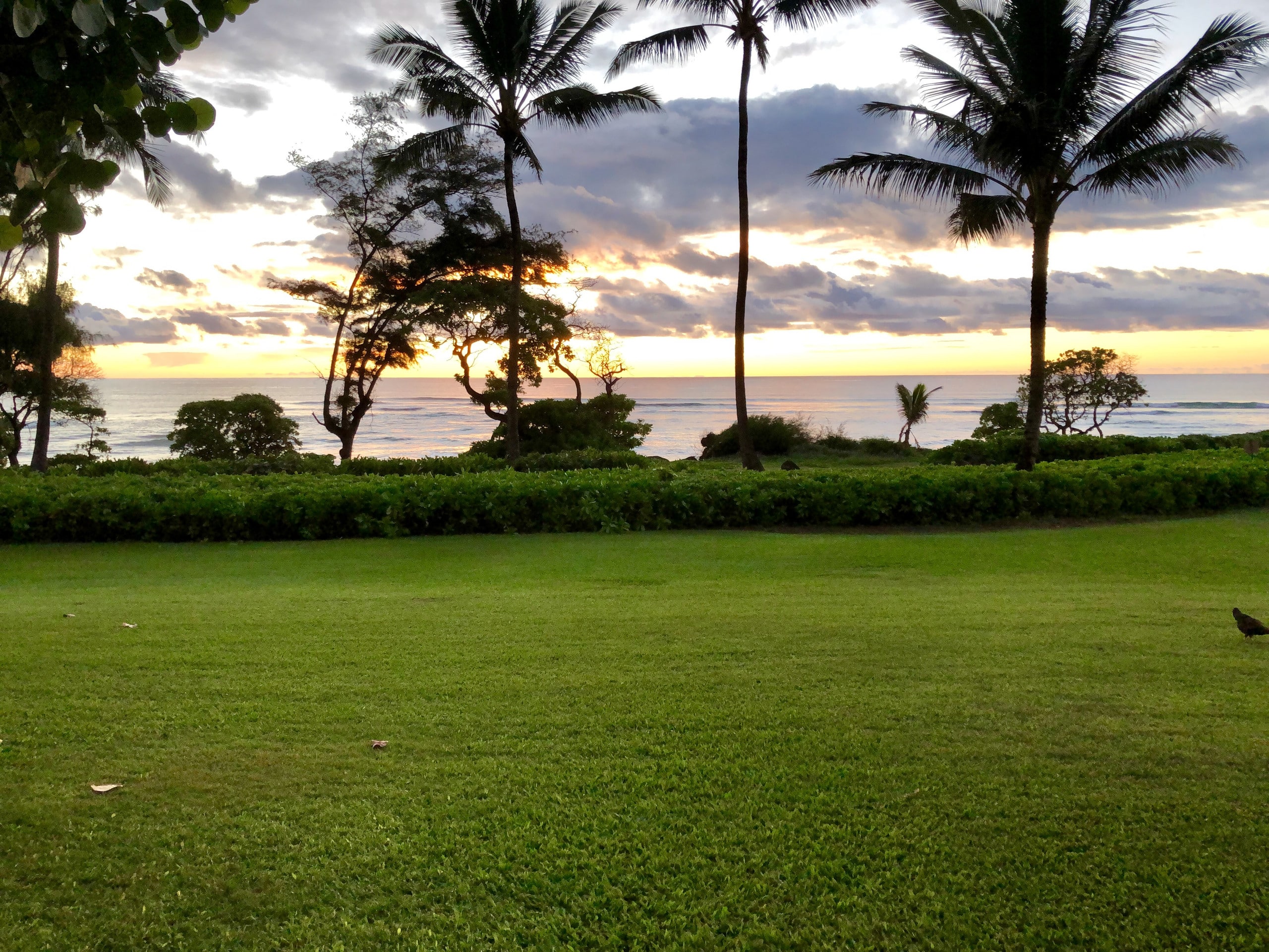 Kaha Lani 121, Oceanfront, Walk to Beach - Photo 24