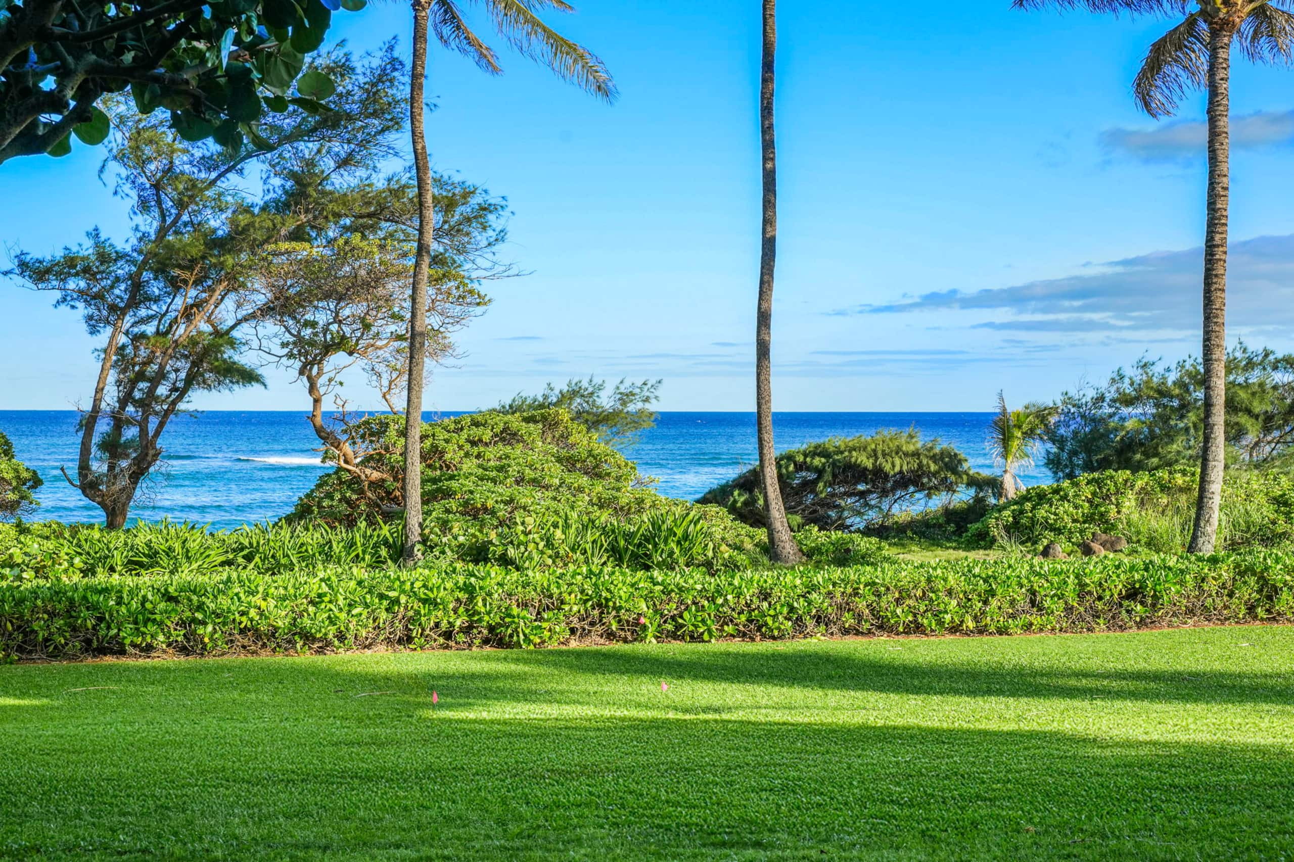 Kaha Lani 121, Oceanfront, Walk to Beach - Photo 23