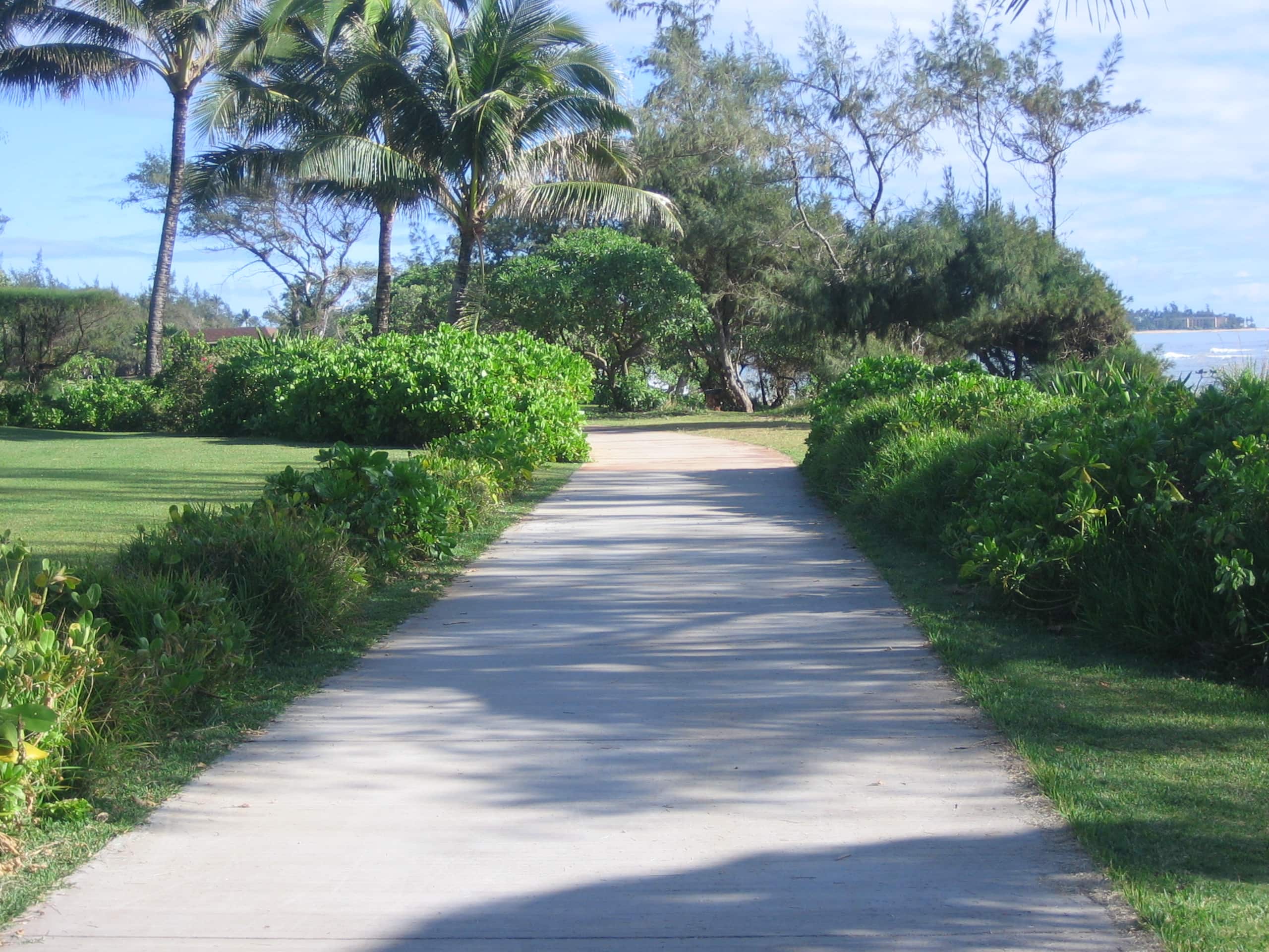 Kaha Lani Resort 311, Ocean View, Walk to Beach - Photo 23