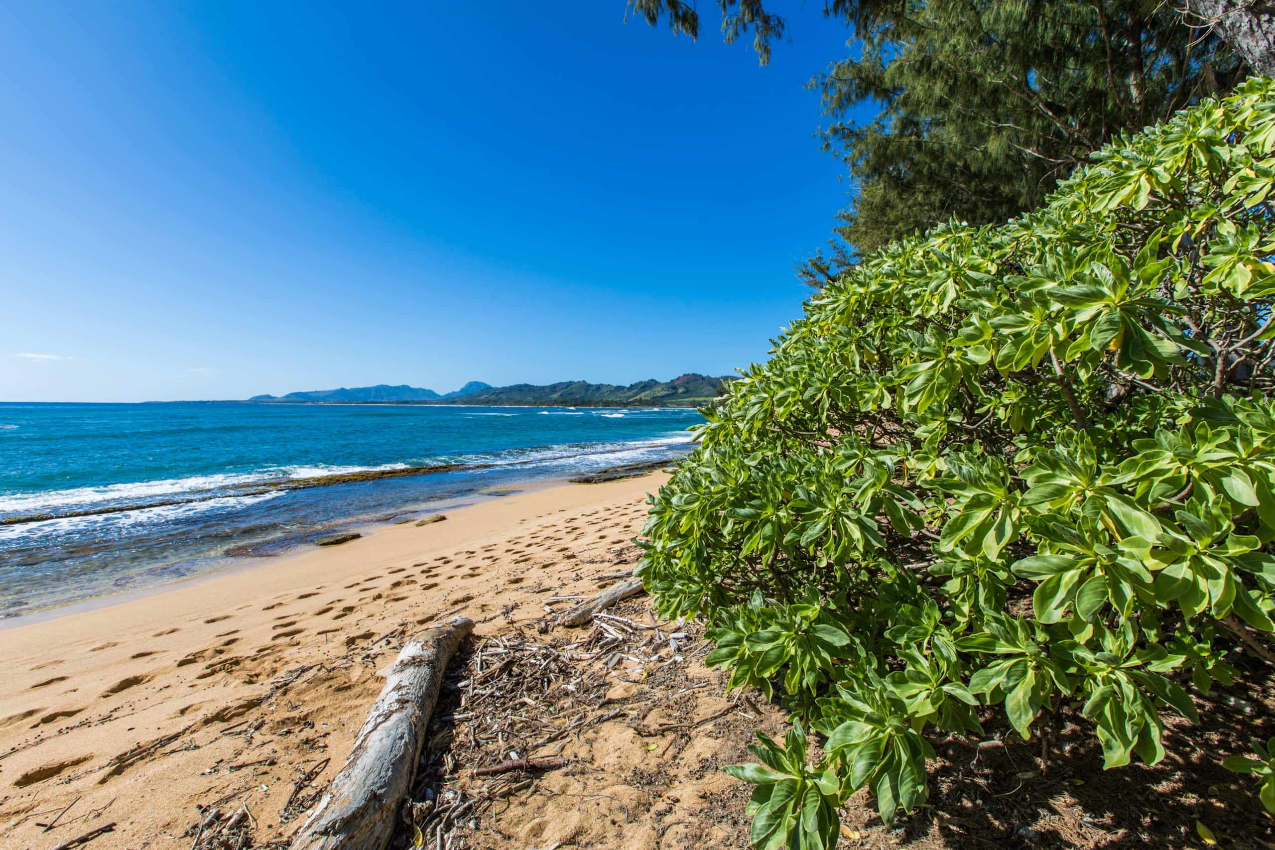 Kaha Lani Resort 311, Ocean View, Walk to Beach - Photo 33