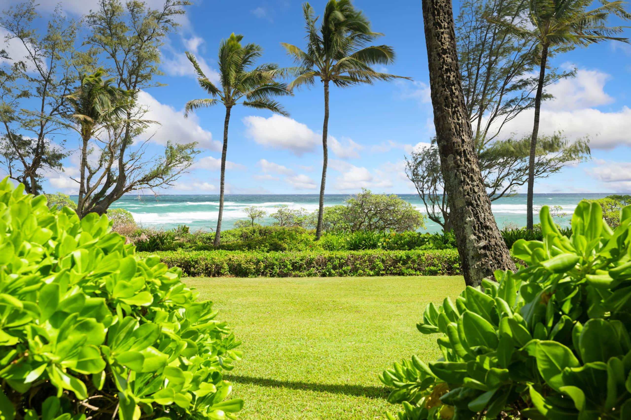 Condo in Lihue · ★4.77 · 1 bedroom · 2 beds · 1.5 baths - Image 47