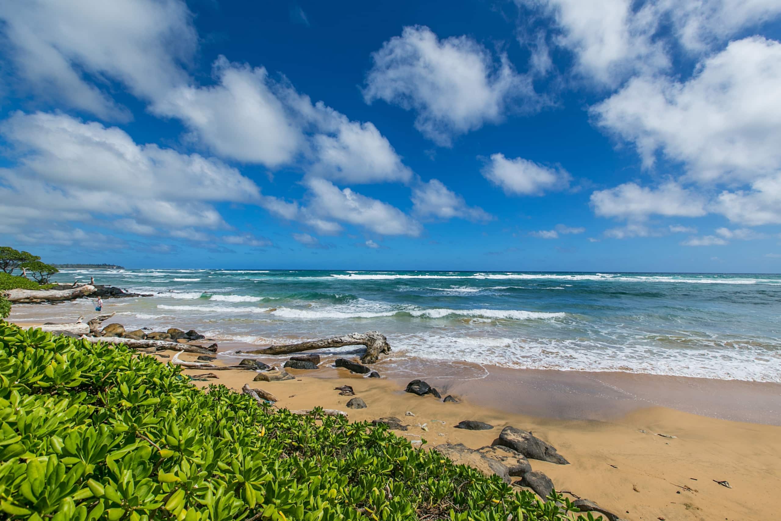 Condo in Lihue · ★4.77 · 1 bedroom · 2 beds · 1.5 baths - Image 35