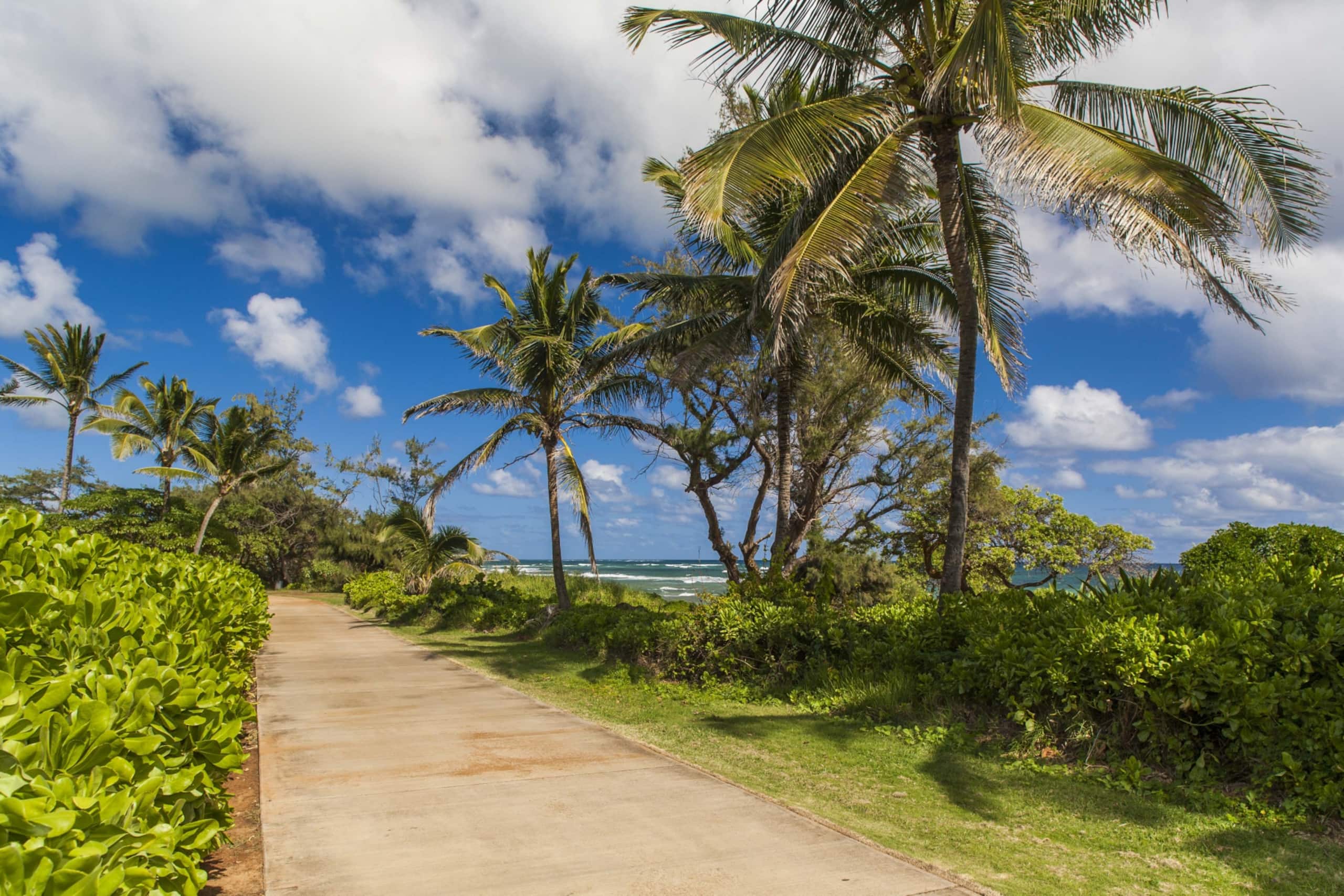 Condo in Lihue · ★4.77 · 1 bedroom · 2 beds · 1.5 baths - Image 39
