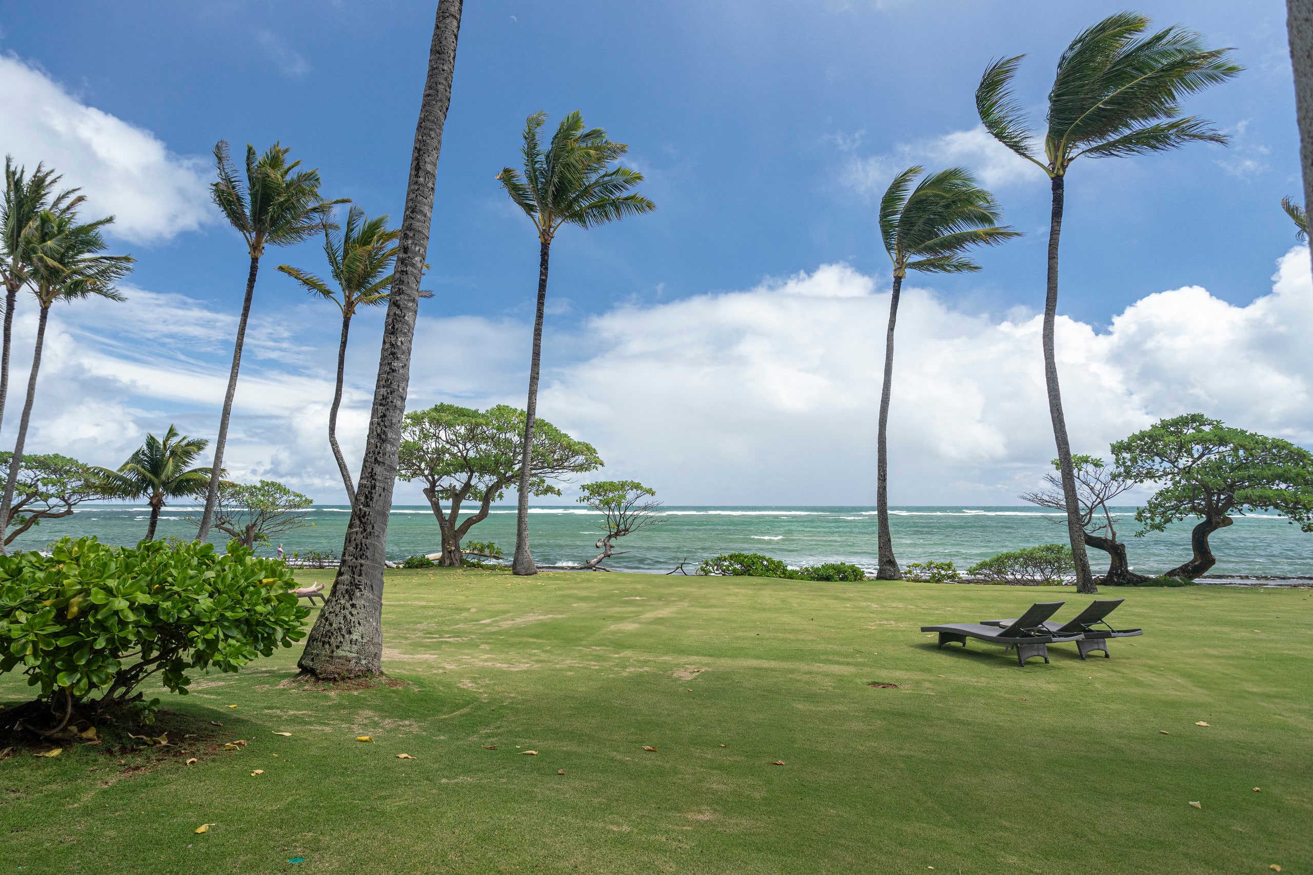 Kapaa Shore Resort 106, Oceanfront, Walk to Beach - Photo 18