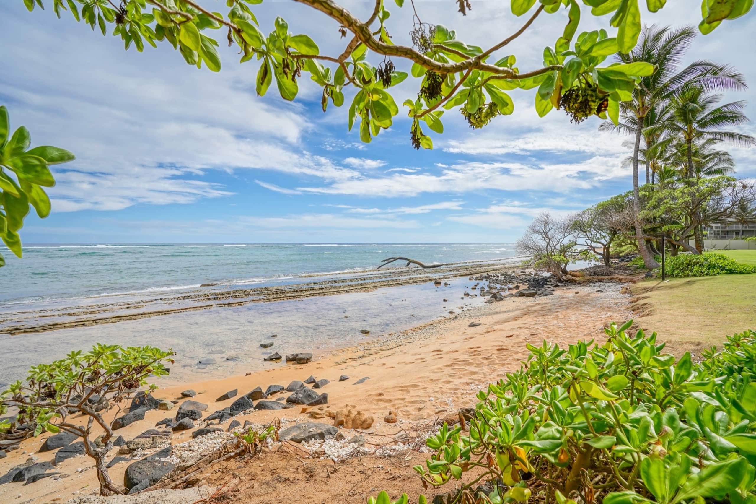 Kapaa Shore Resort 118, Ocean View, Walk to Town - Photo 32
