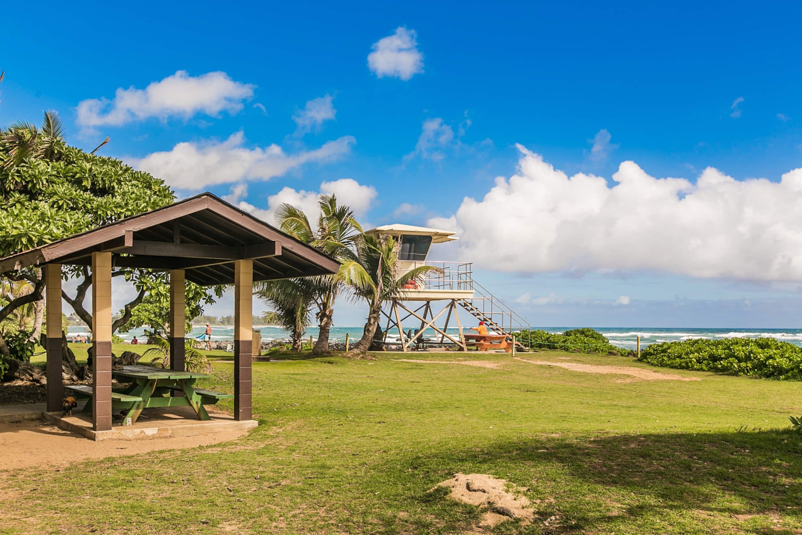 Kapaa Shore Resort 118, Ocean View, Walk to Town - Photo 42