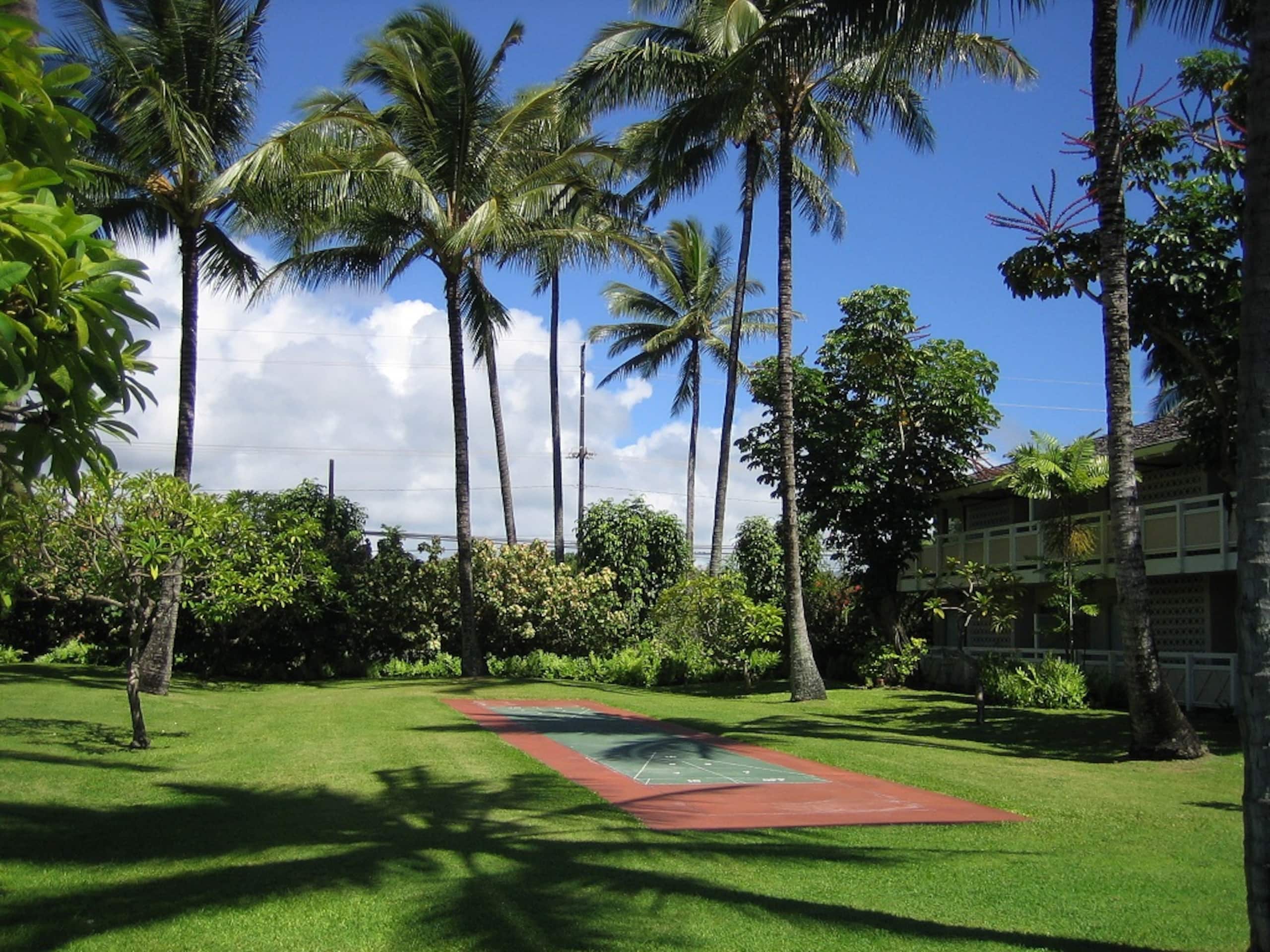 Plantation Hale J8, Ground Floor, AC, Beach - Photo 39