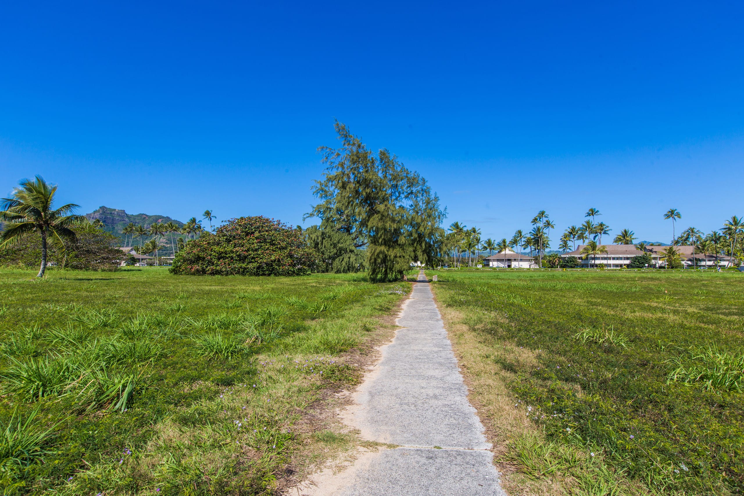 Plantation Hale J8, Ground Floor, AC, Beach - Photo 43