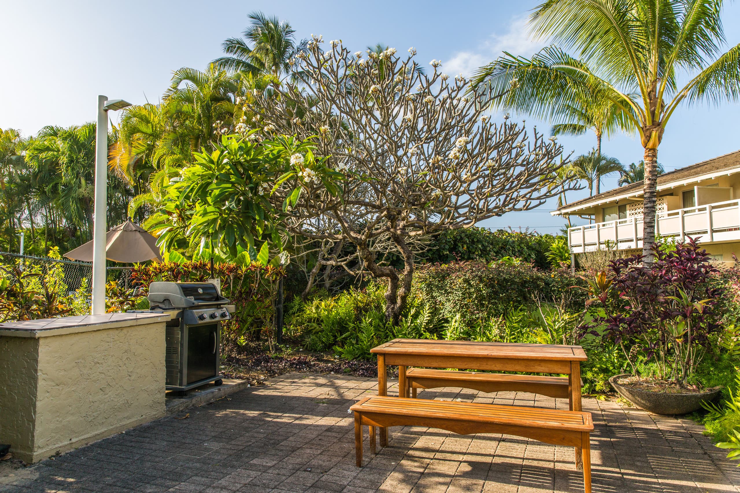 Plantation Hale J8, Ground Floor, AC, Beach - Photo 38