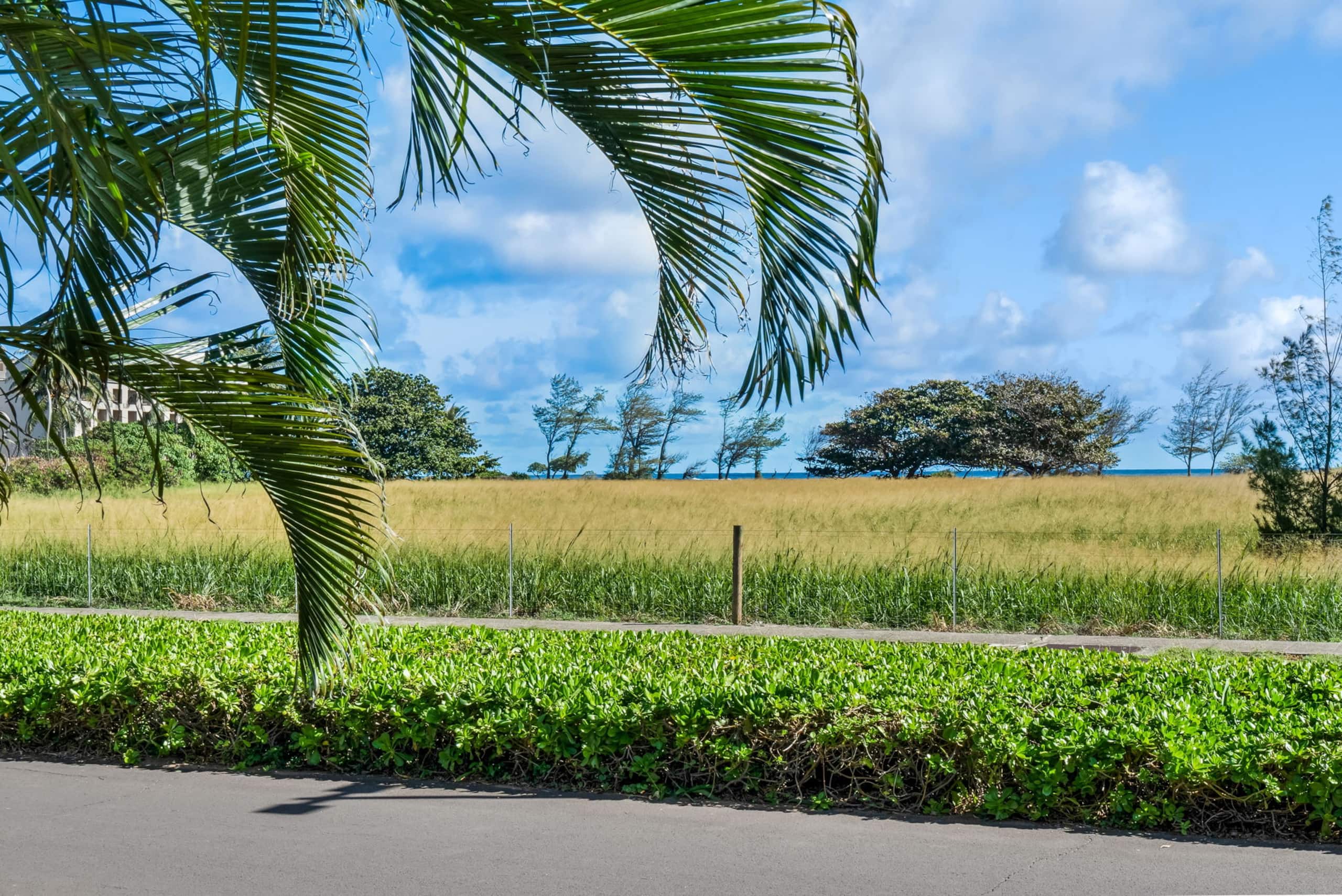 Plantation Hale J8, Ground Floor, AC, Beach - Photo 33
