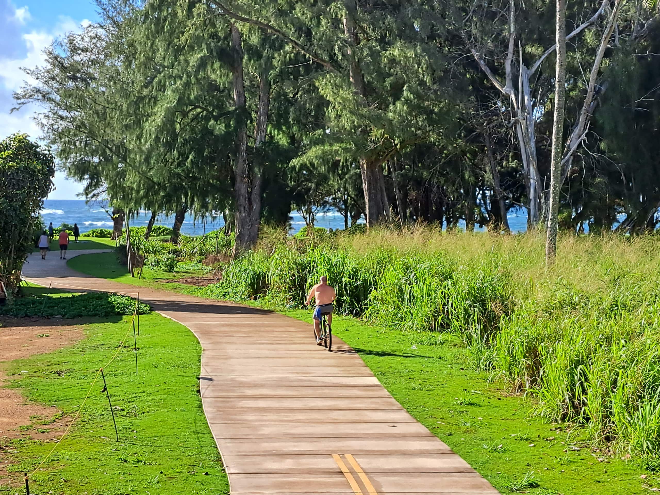 Condo in Kapaa · ★4.73 · 2 bedrooms · 3 beds · 1.5 private baths - Image 24