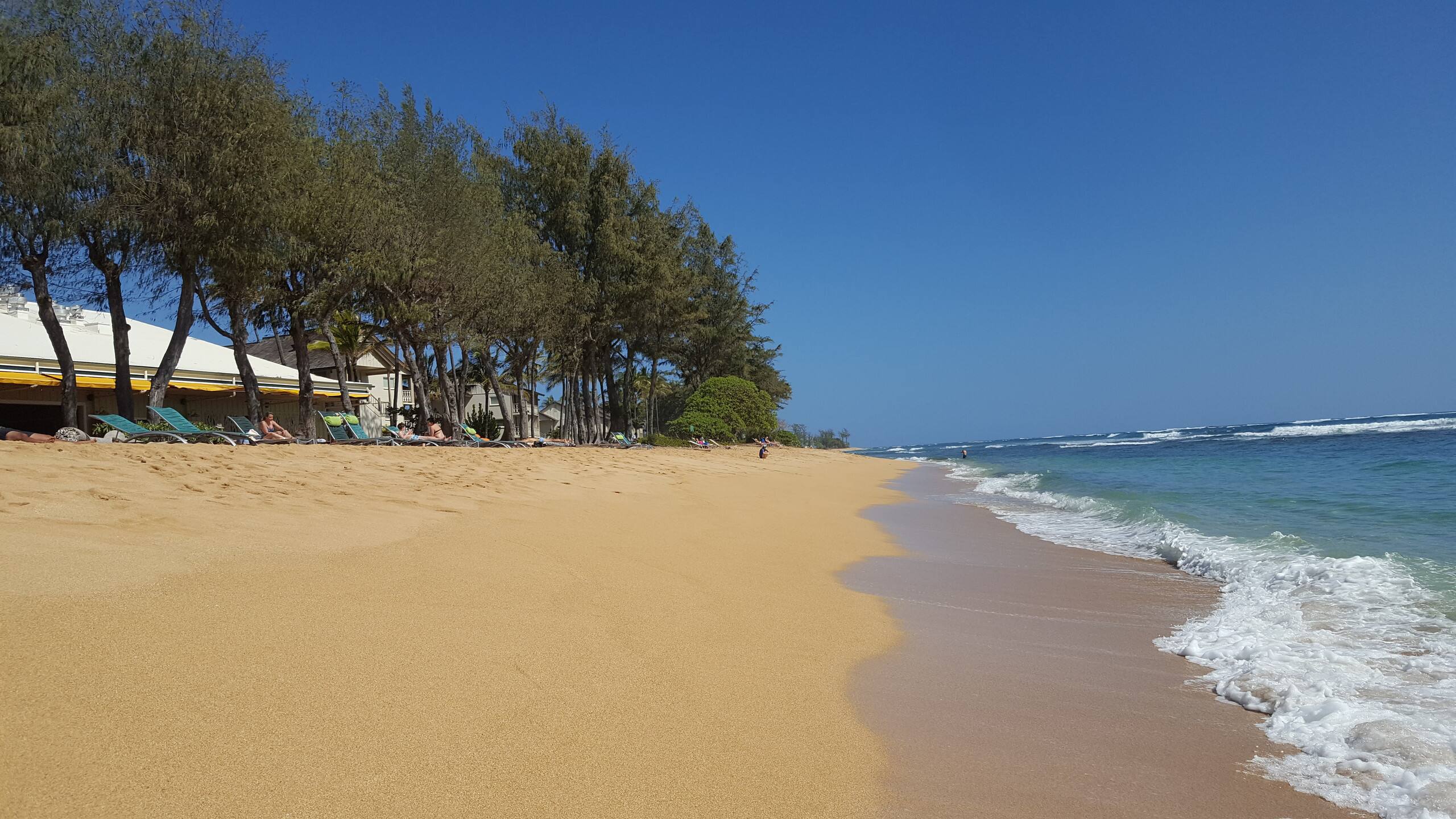 Condo in Kapaa · ★4.73 · 2 bedrooms · 3 beds · 1.5 private baths - Image 38