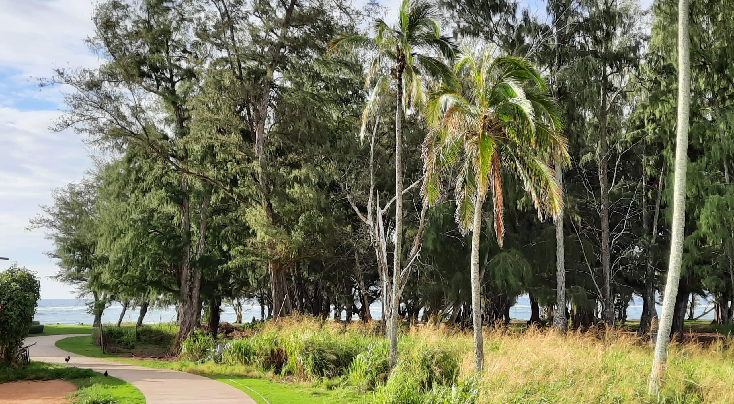 Condo in Kapaa · ★4.73 · 2 bedrooms · 3 beds · 1.5 private baths - Image 34