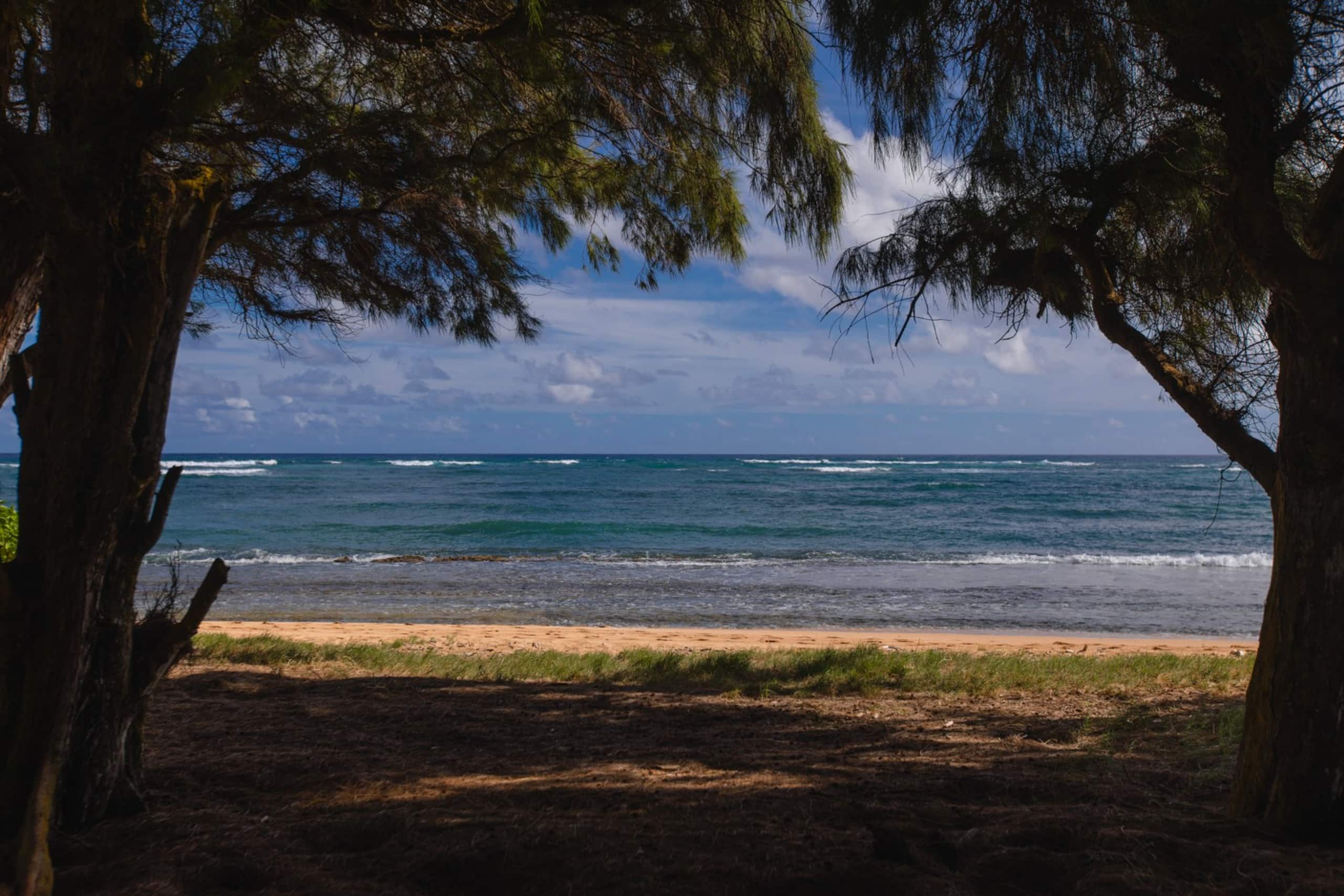 Condo in Kapaa · ★4.73 · 2 bedrooms · 3 beds · 1.5 private baths - Image 30