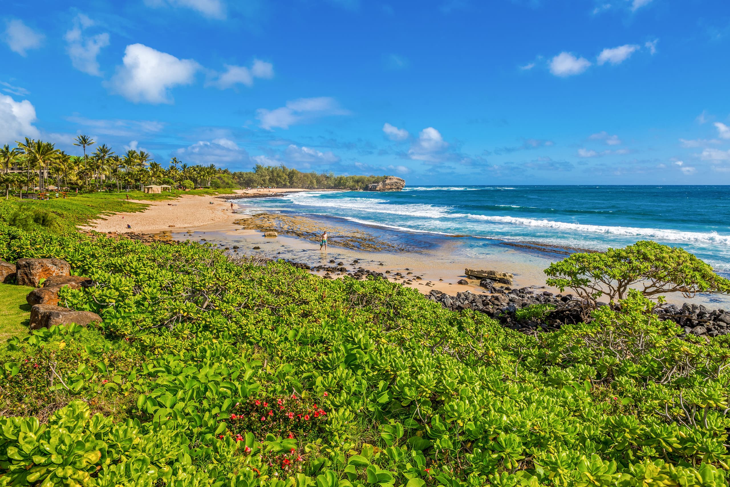 Home in Koloa · ★4.97 · 4 bedrooms · 4 beds · 2.5 baths - Image 43
