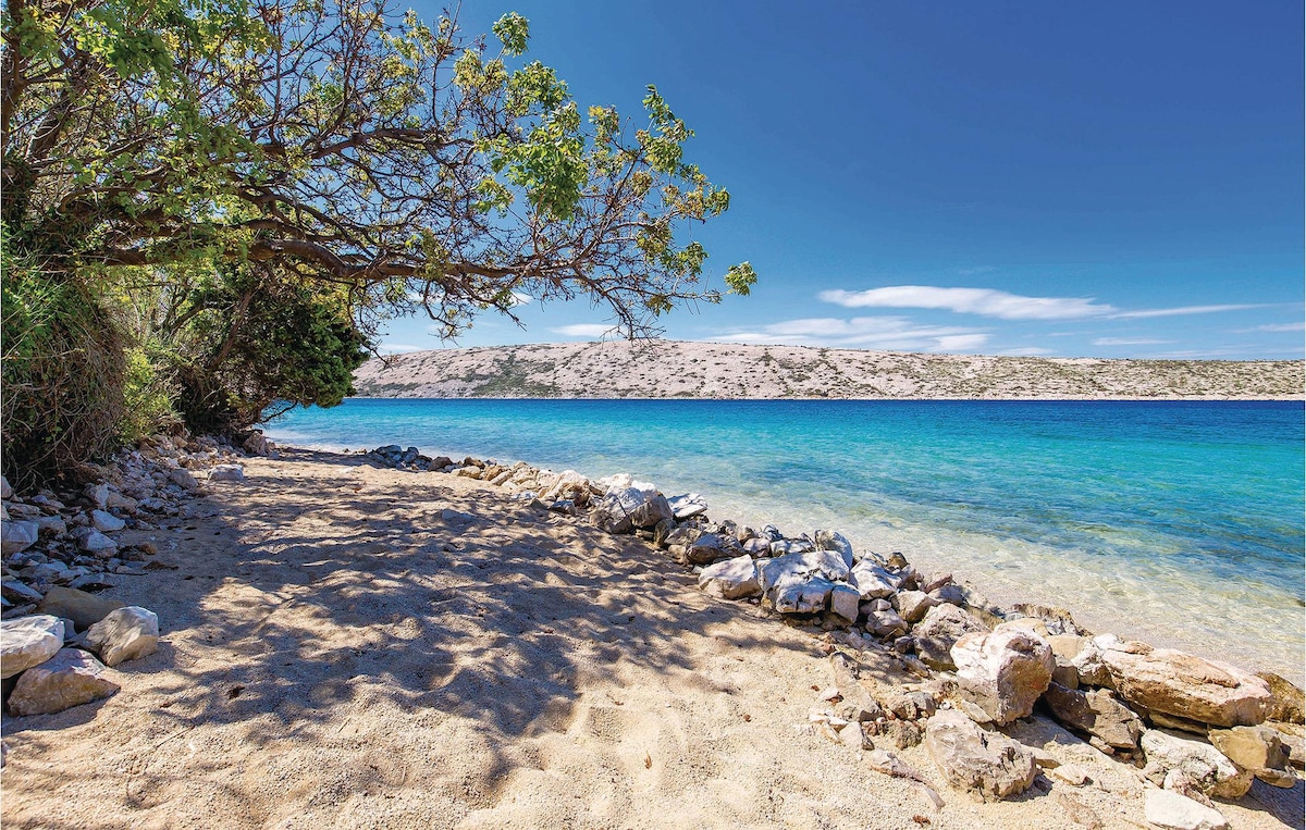 A sandy shoreline is bordered by a clear blue body of water, with gently lapping waves. Sunlight filters through the branches of a nearby tree, casting dappled shadows on the beach. Smooth rocks delineate the water's edge, enhancing the natural beauty of the scene.