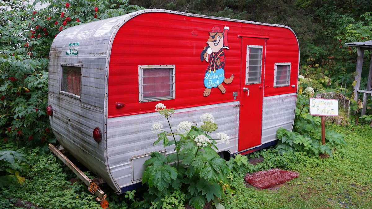 A vintage red and silver camper, named 'Lumberjack Shack,' is nestled among lush greenery. The exterior features a playful illustration of a lumberjack otter and is complemented by a nearby sign. Wildflowers and foliage enhance the serene outdoor setting.