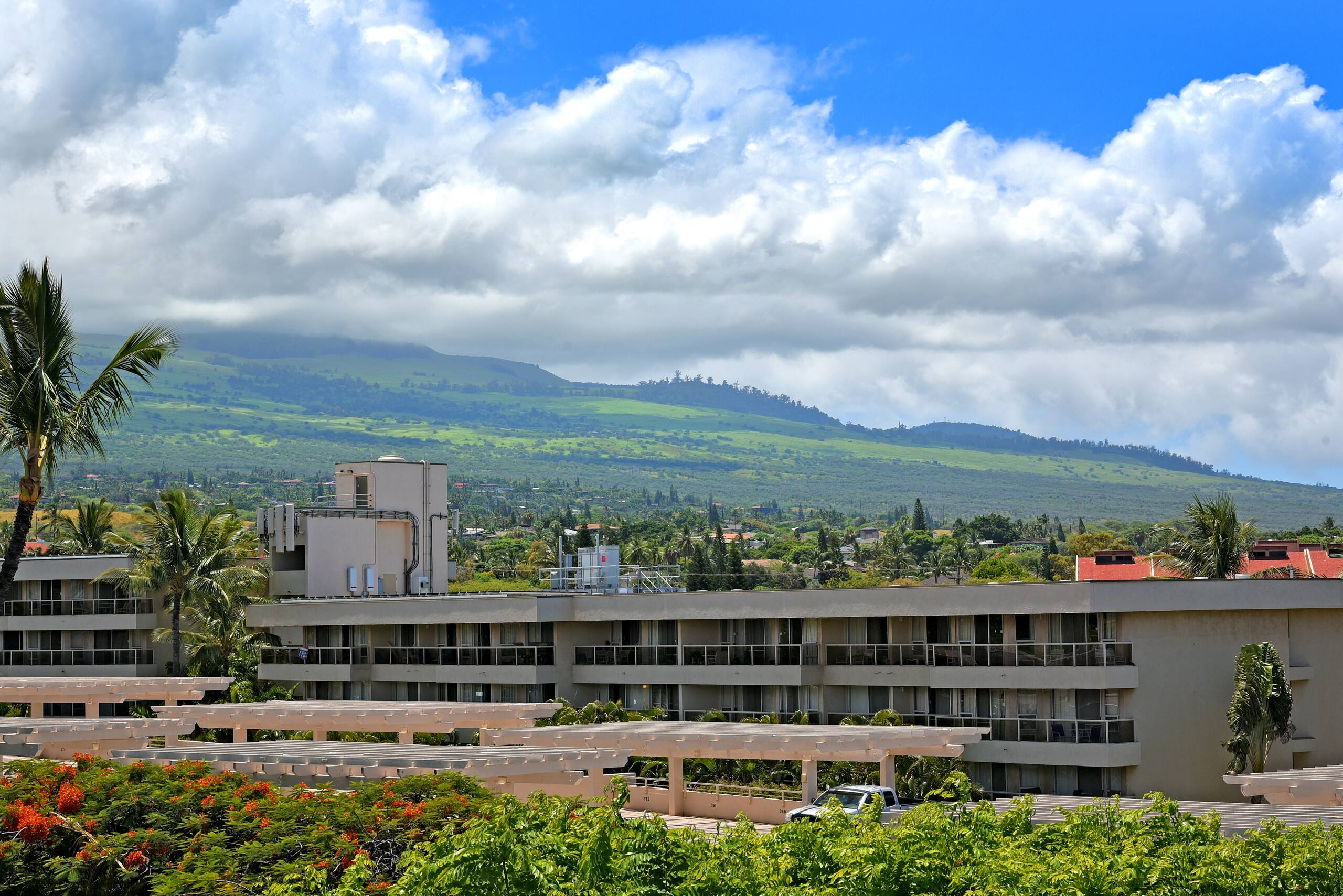 Condo in Kihei · ★4.58 · 1 bedroom · 2 beds · 1 private bath - Image 32
