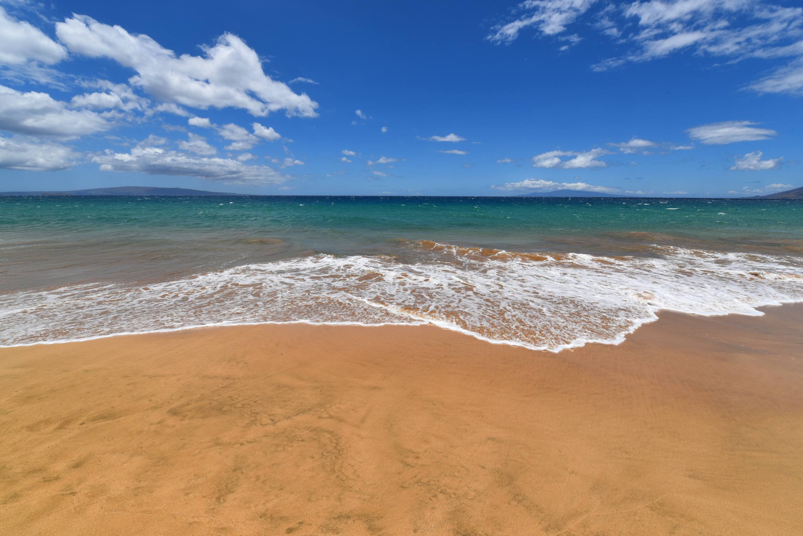 Condo in Kihei · ★4.58 · 1 bedroom · 2 beds · 1 private bath - Image 41