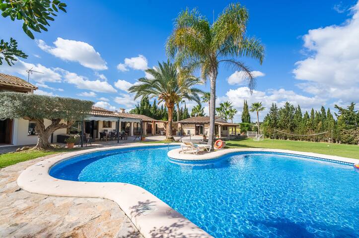 Finca Vela gallery image 5