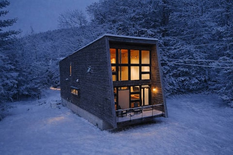 Green Mountain Modern House: iconic modern getaway