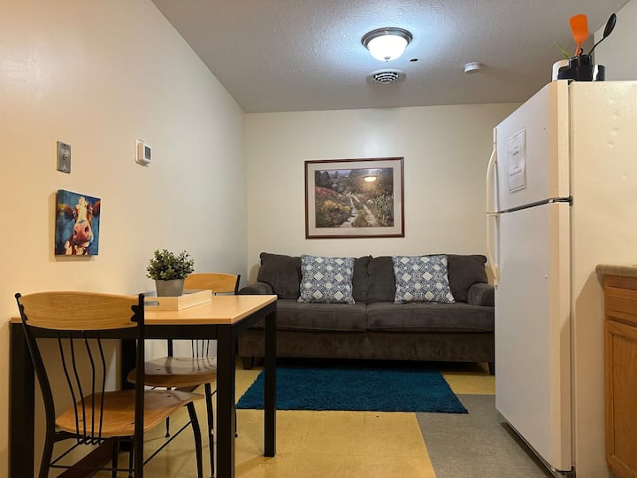 Cute Downtown APT | Quick & Safe Walk to PPG Arena