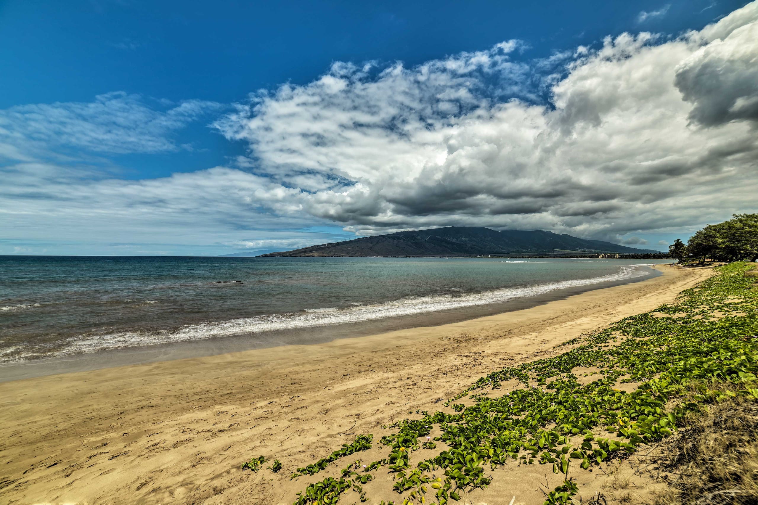 Condo in Kihei · ★4.6 · 2 bedrooms · 3 beds · 1 bath - Image 26