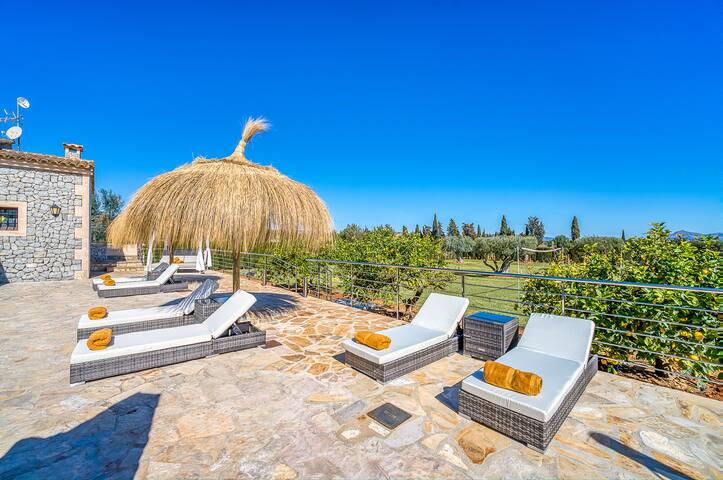 Las Naranjas gallery image 4