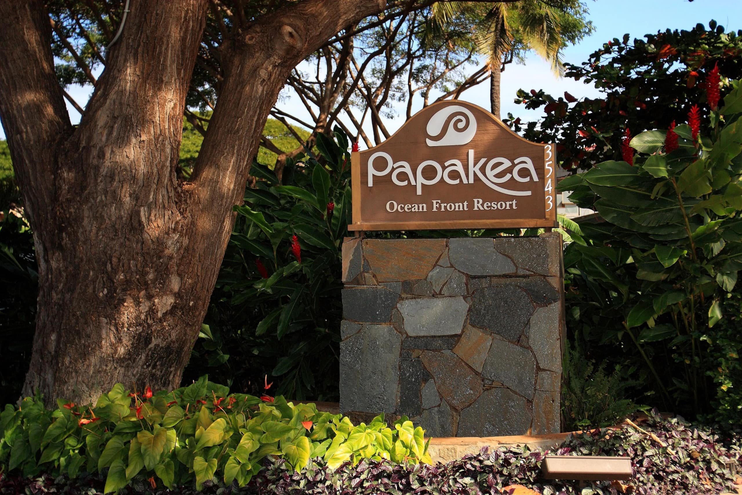 Condo in Lahaina · ★4.83 · 2 bedrooms · 3 beds · 1 bath - Image 19