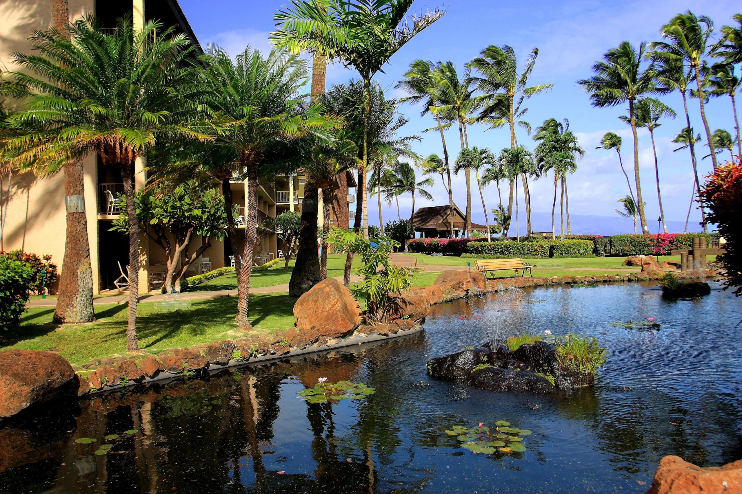 Condo in Lahaina · ★4.83 · 2 bedrooms · 3 beds · 1 bath - Image 21