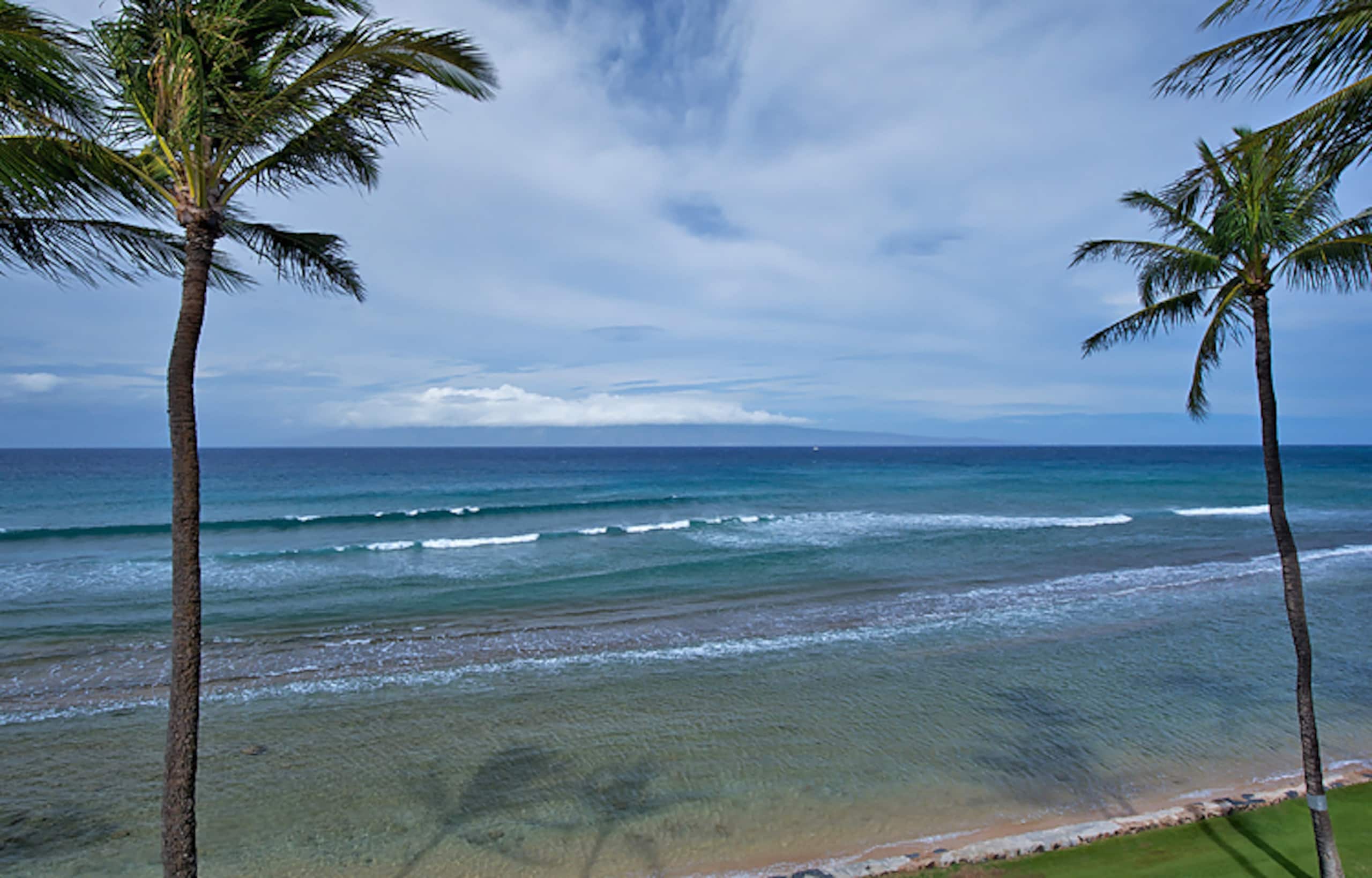 Condo in Lahaina · ★4.83 · 2 bedrooms · 3 beds · 1 bath - Image 14