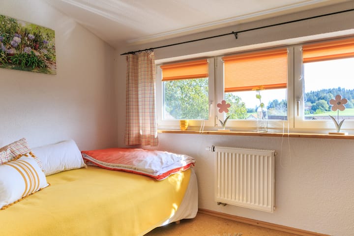 沙发床1.20 x 1.90米