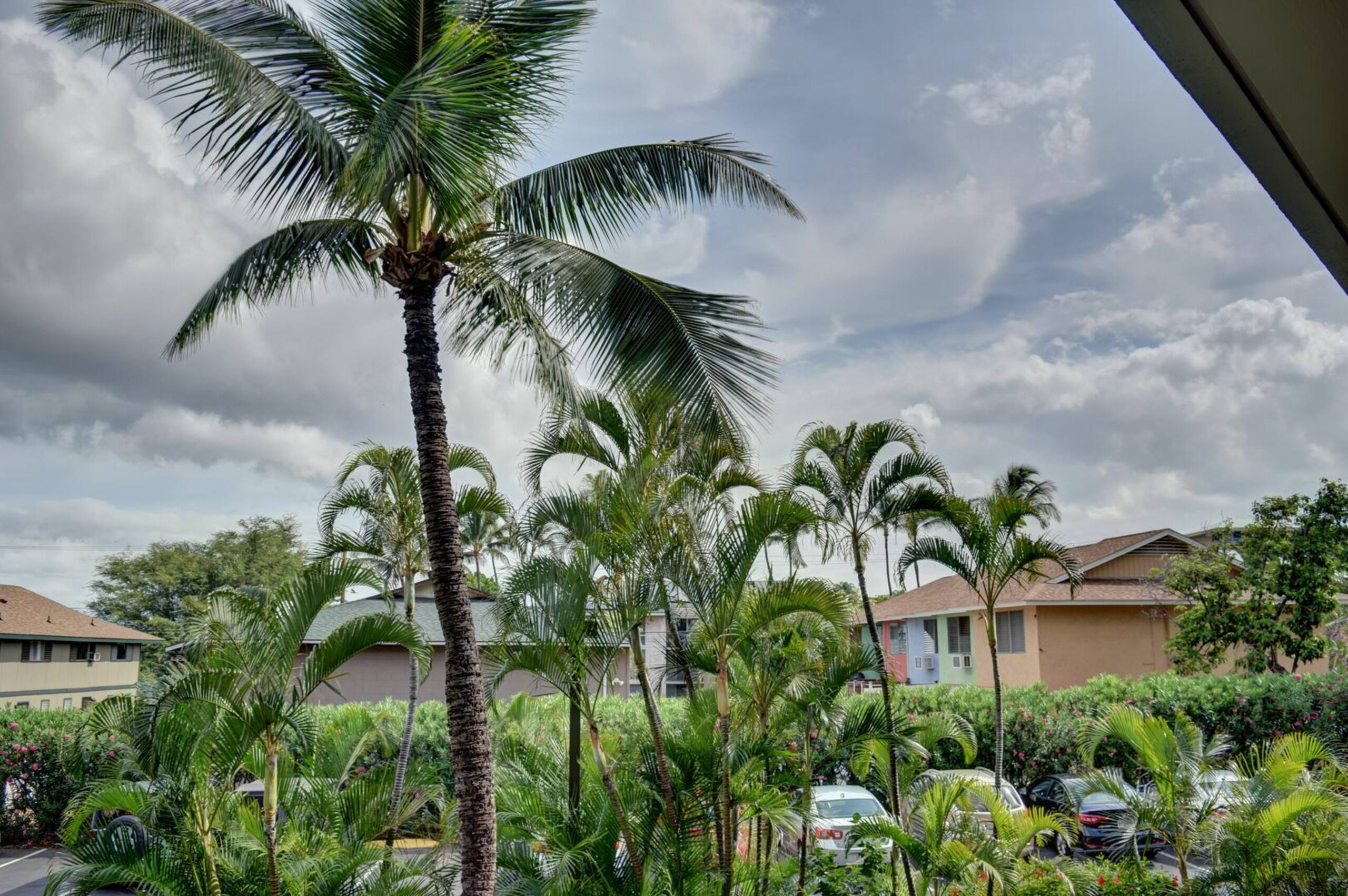 Condo in Kihei · ★4.67 · 1 bedroom · 2 beds · 1 bath - Image 15