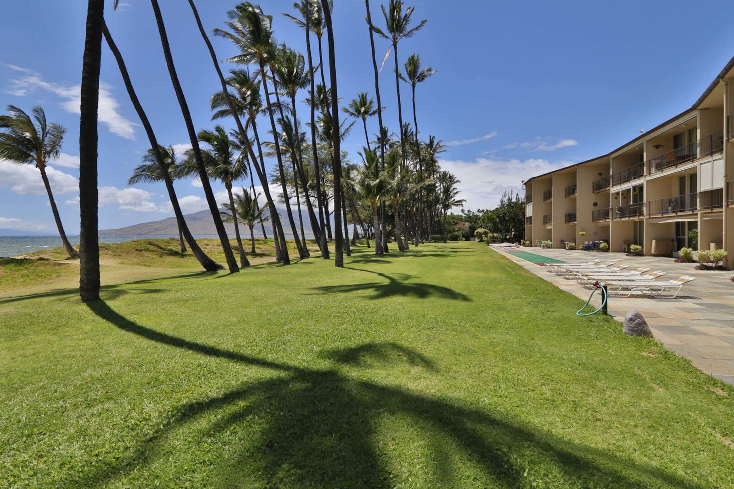 Condo in Kihei · ★4.71 · 1 bedroom · 1 bed · 1 bath - Image 19
