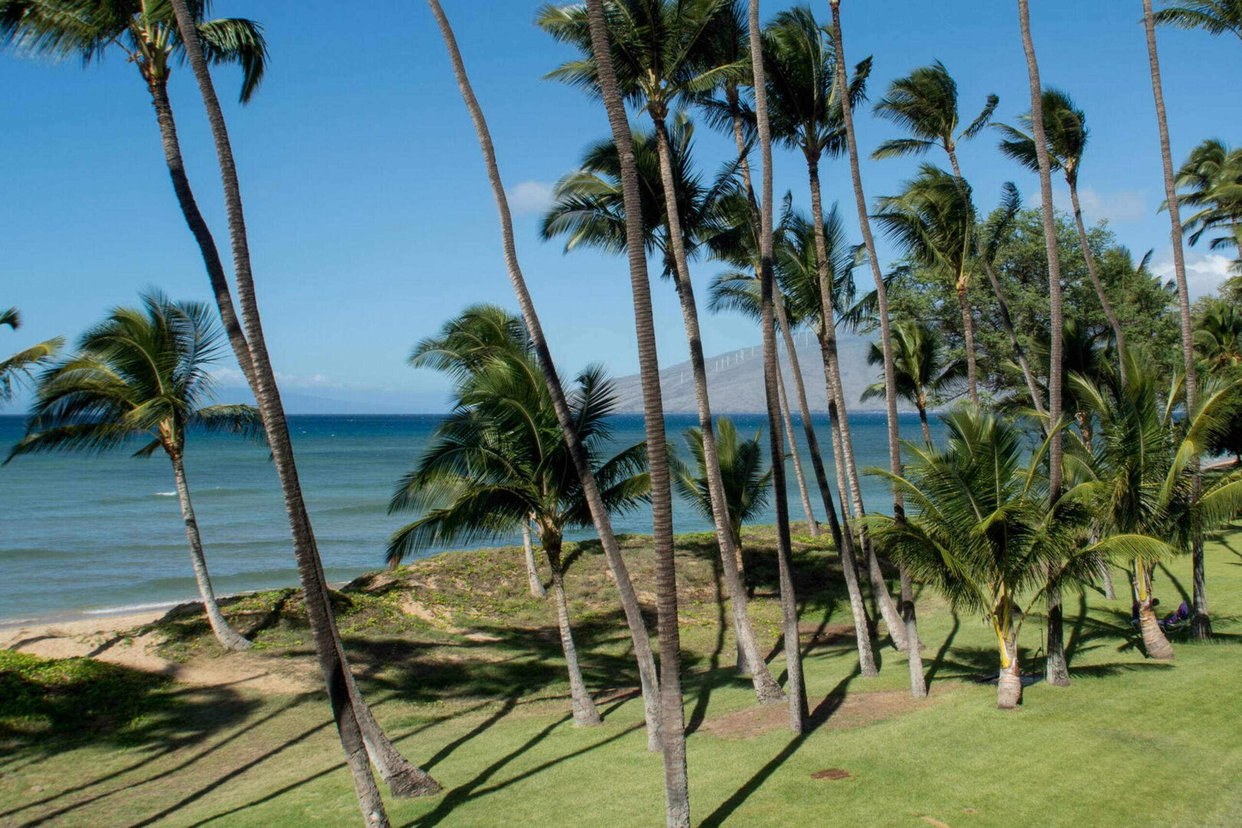 Condo in Kihei · ★4.71 · 1 bedroom · 1 bed · 1 bath - Image 16
