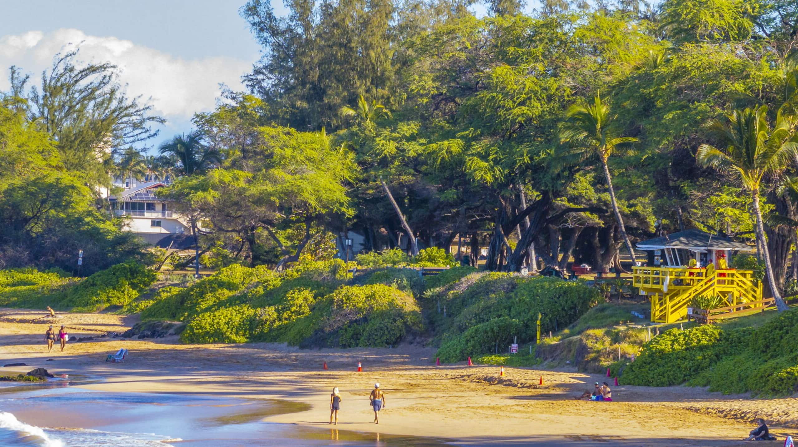 Condo in Kihei · ★4.67 · 1 bedroom · 2 beds · 2 baths - Image 2