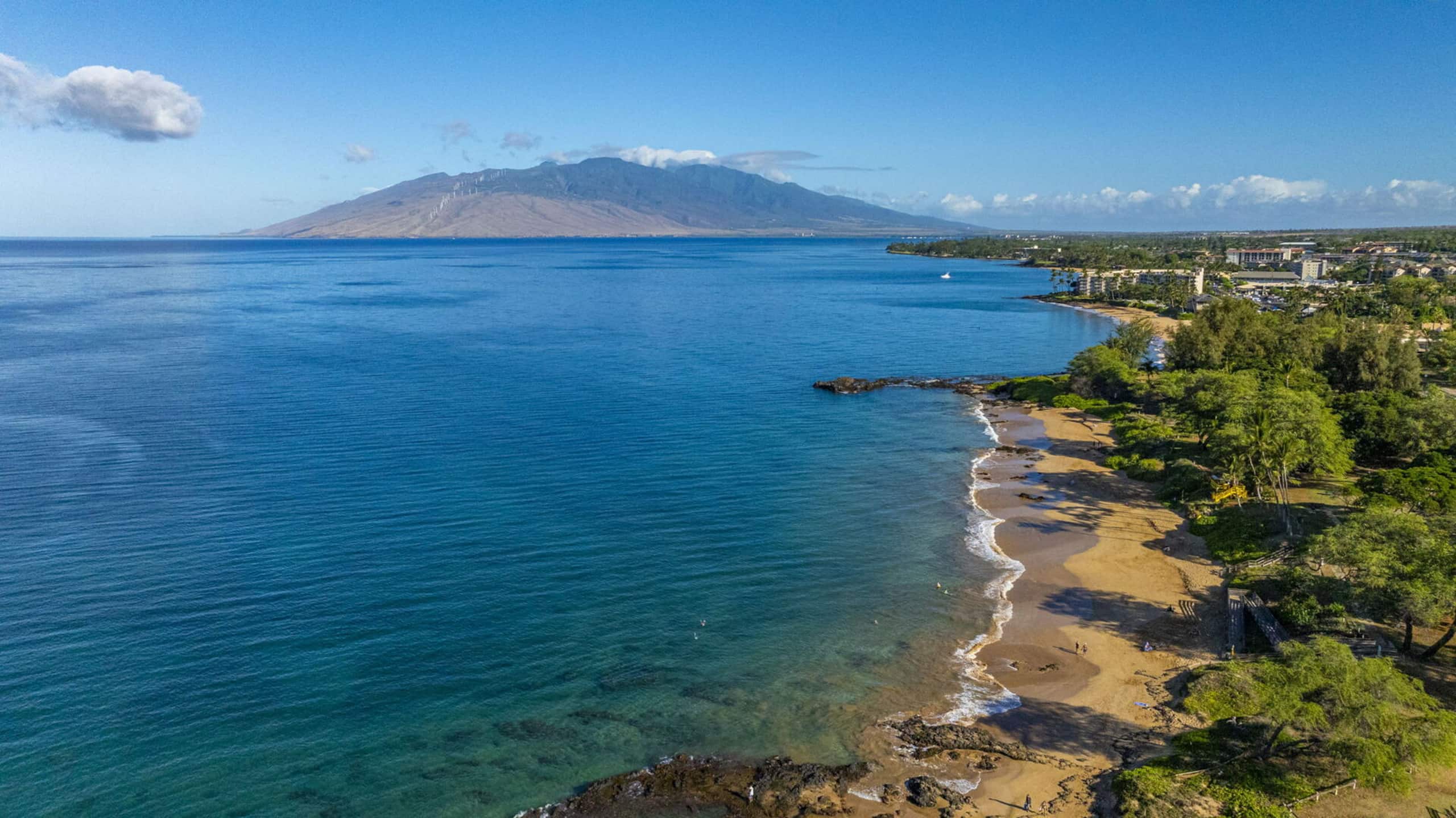 Condo in Kihei · ★4.67 · 1 bedroom · 2 beds · 2 baths - Image 1