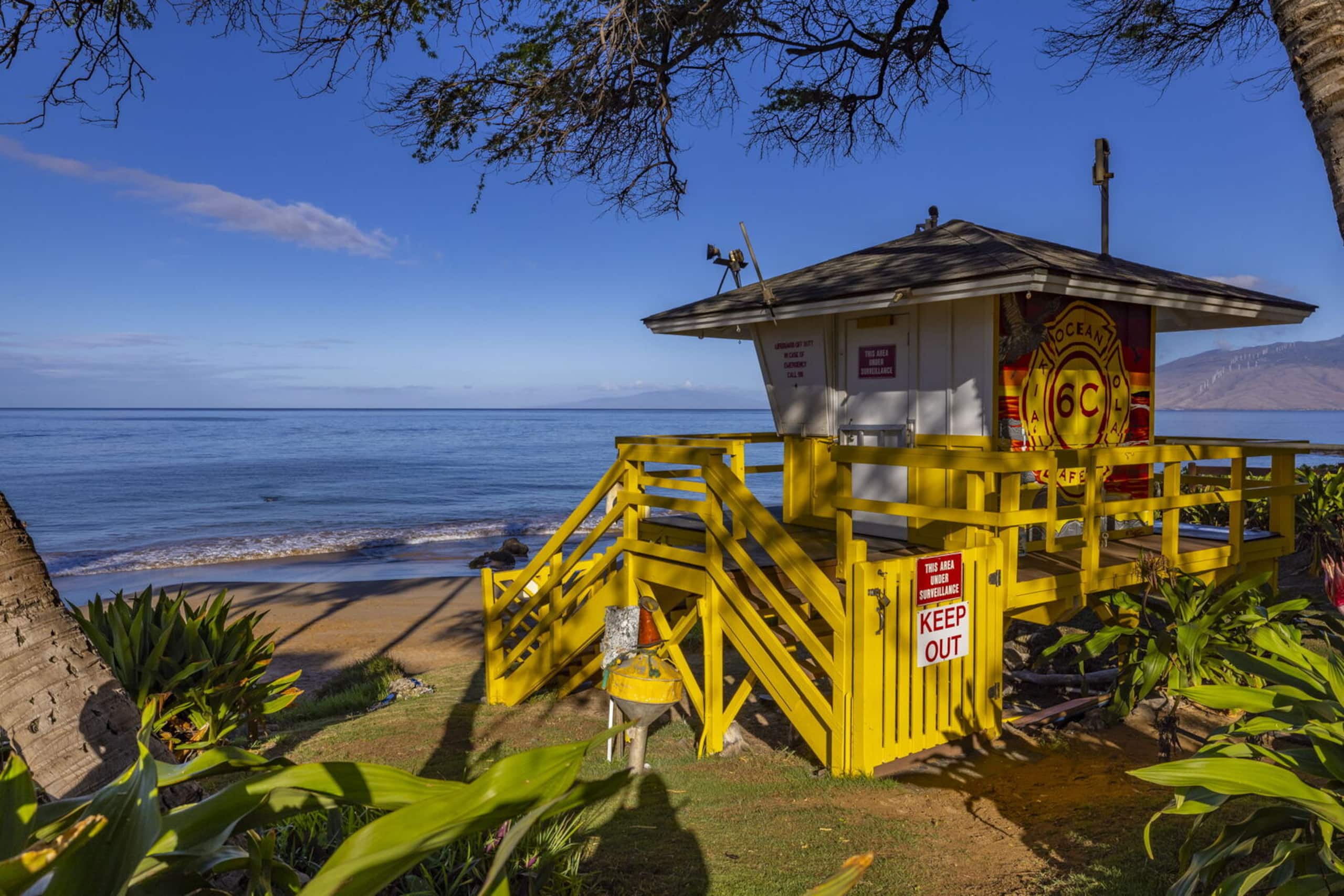 Condo in Kihei · ★4.67 · 1 bedroom · 2 beds · 2 baths - Image 42