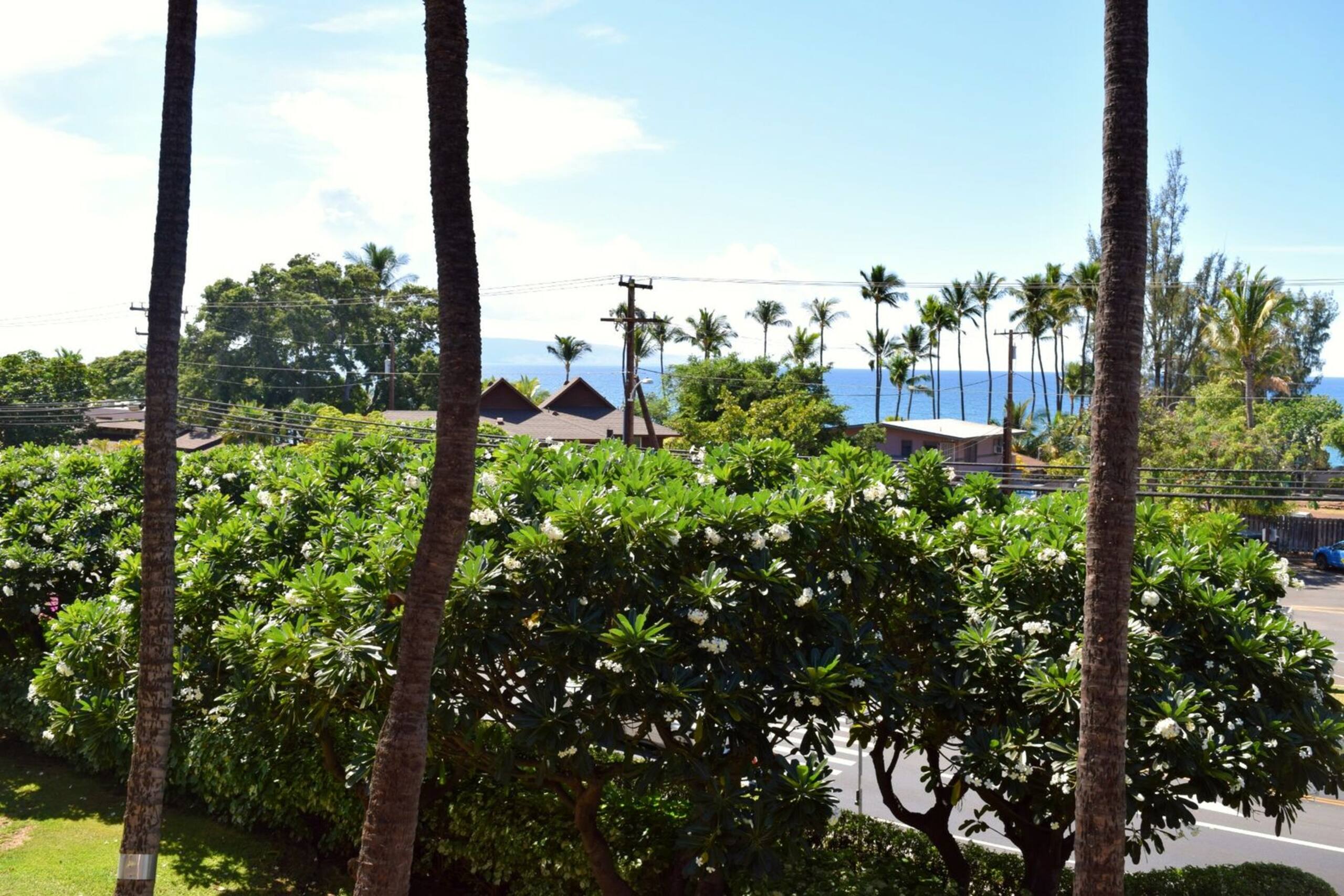 Condo in Kihei · ★5.0 · 1 bedroom · 2 beds · 1 private bath - Image 17