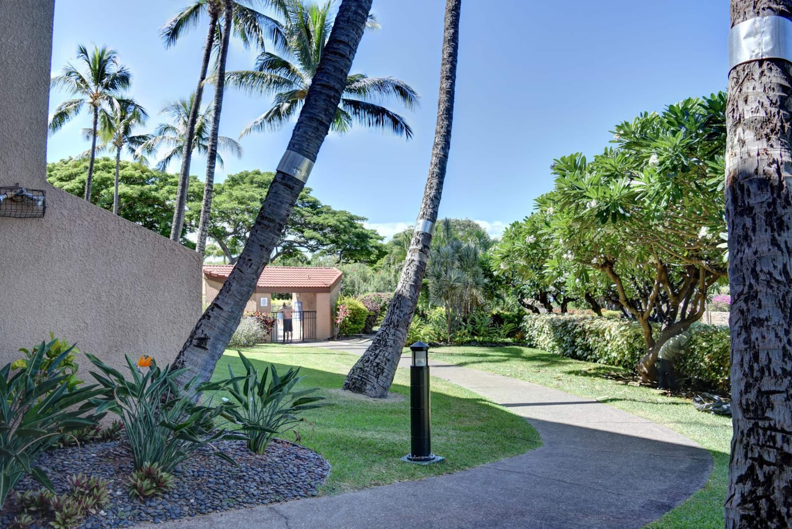 Condo in Kihei · ★4.17 · 1 bedroom · 2 beds · 1 bath - Image 11