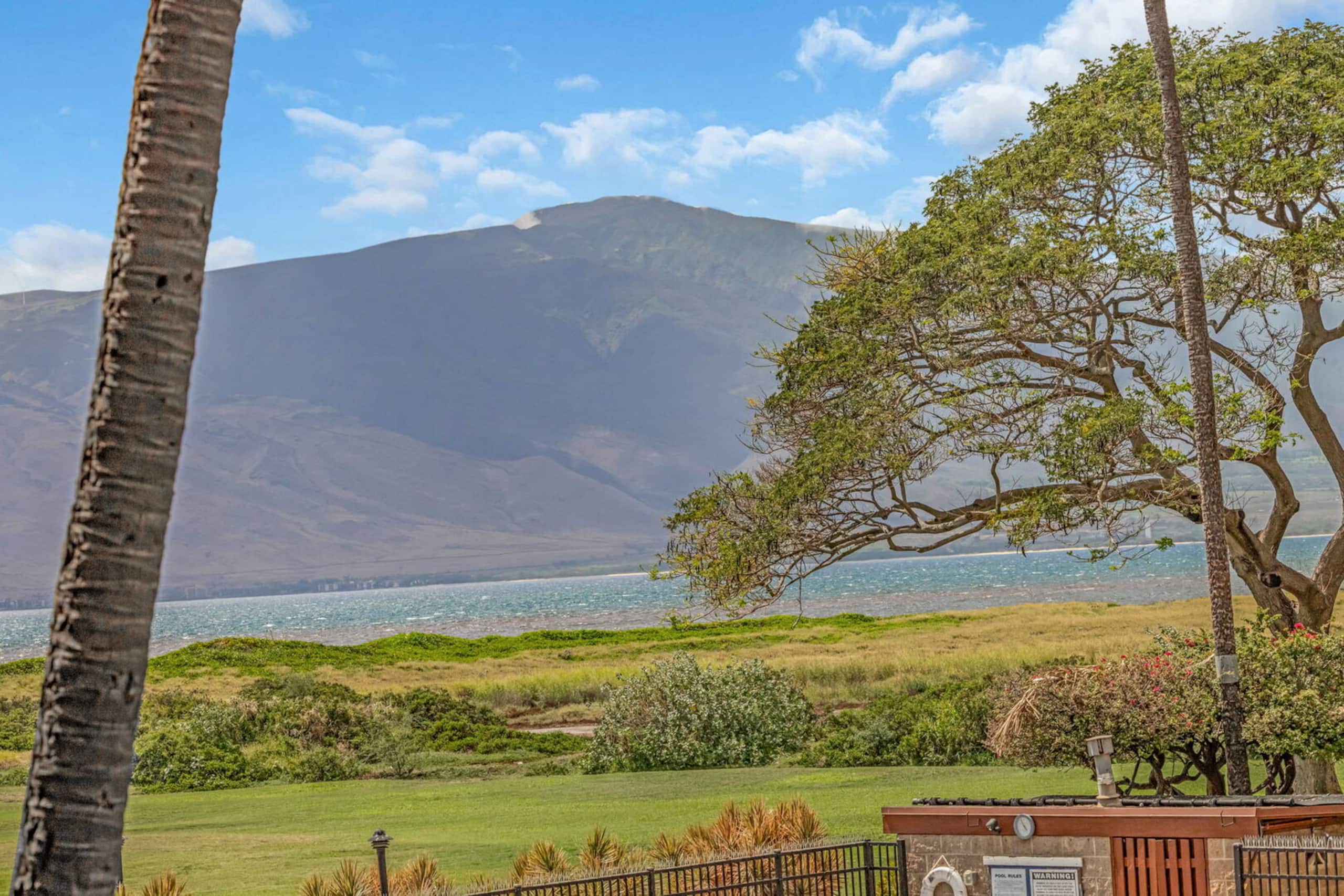 Condo in Kihei · ★4.69 · 1 bedroom · 2 beds · 1 bath - Image 22
