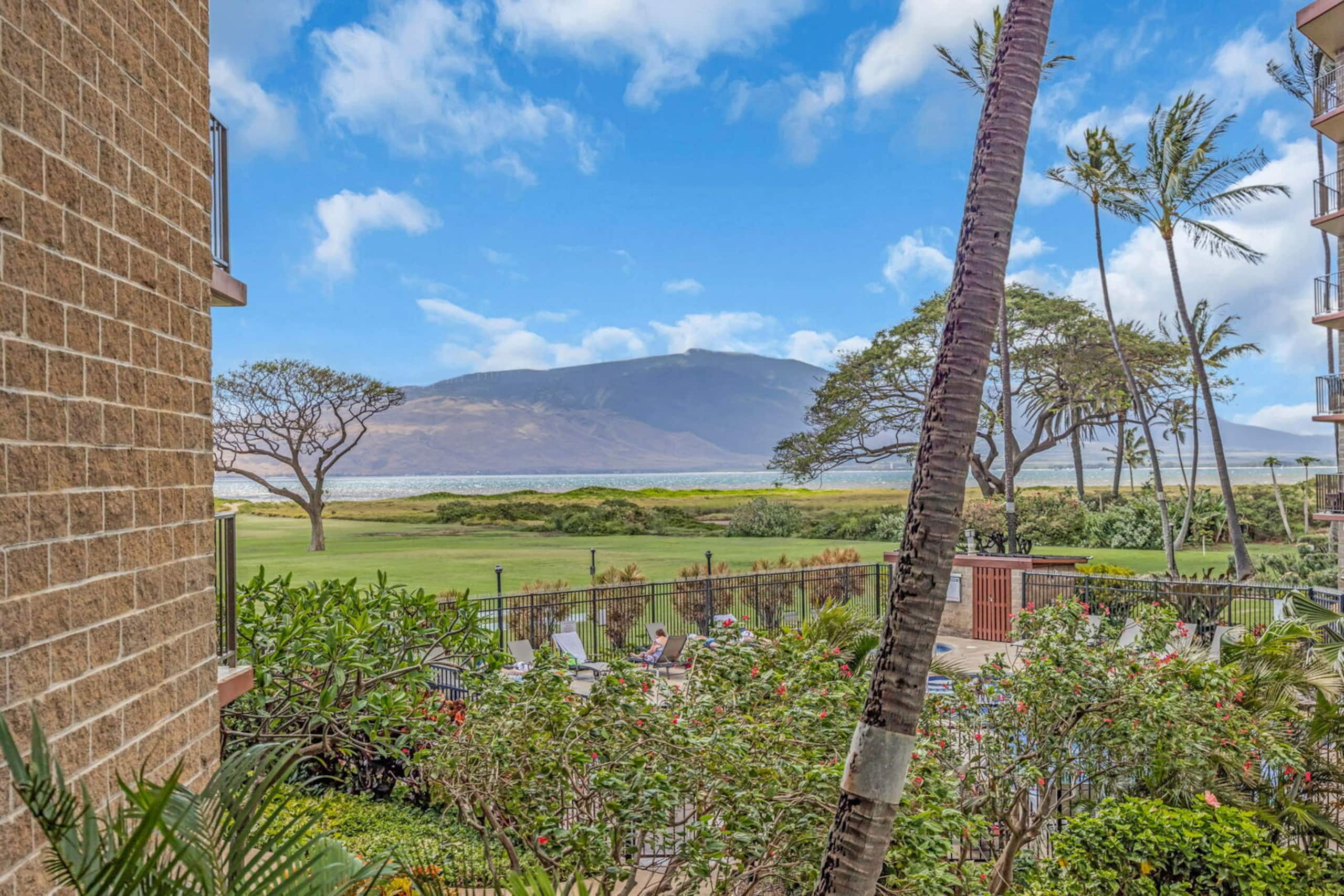 Condo in Kihei · ★4.69 · 1 bedroom · 2 beds · 1 bath - Image 4