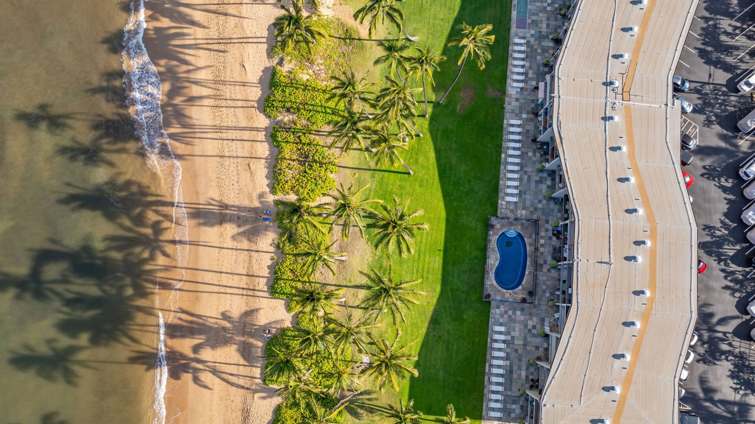 Condo in Kihei · ★4.72 · 1 bedroom · 1 bed · 1 bath - Image 31